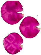 Jzbg 06 00041 i030 Jzbg 06 00041 i030