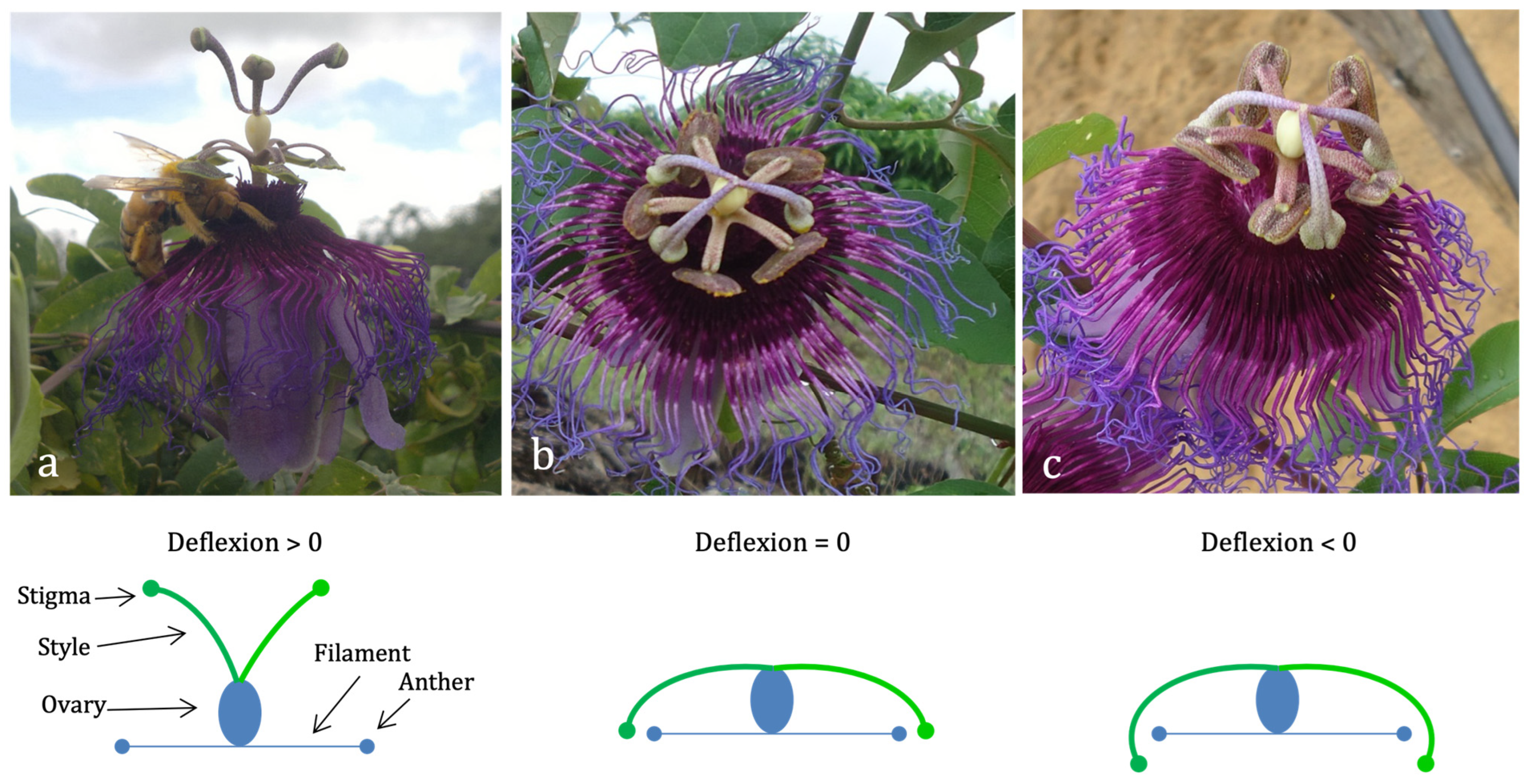 Jzbg 07 00002 g002 Jzbg 07 00002 g002