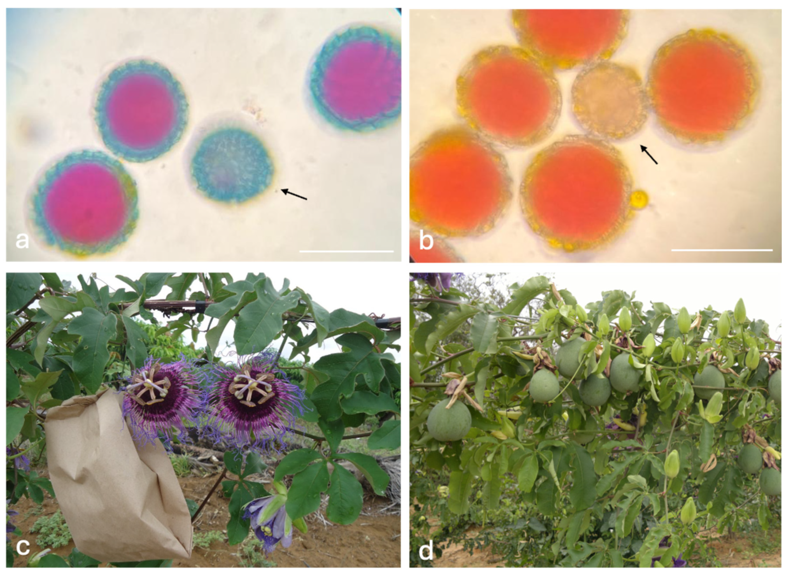 Jzbg 07 00002 g003 Jzbg 07 00002 g003