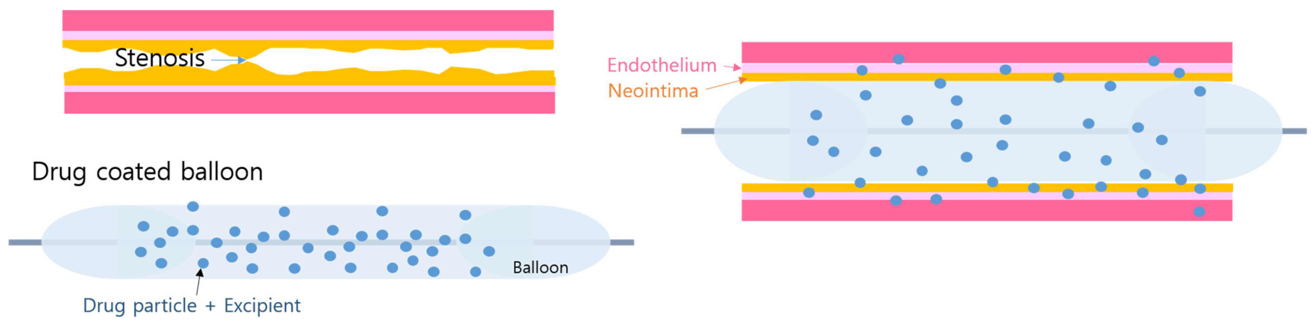 Kidneydial 01 00004 g002 550
