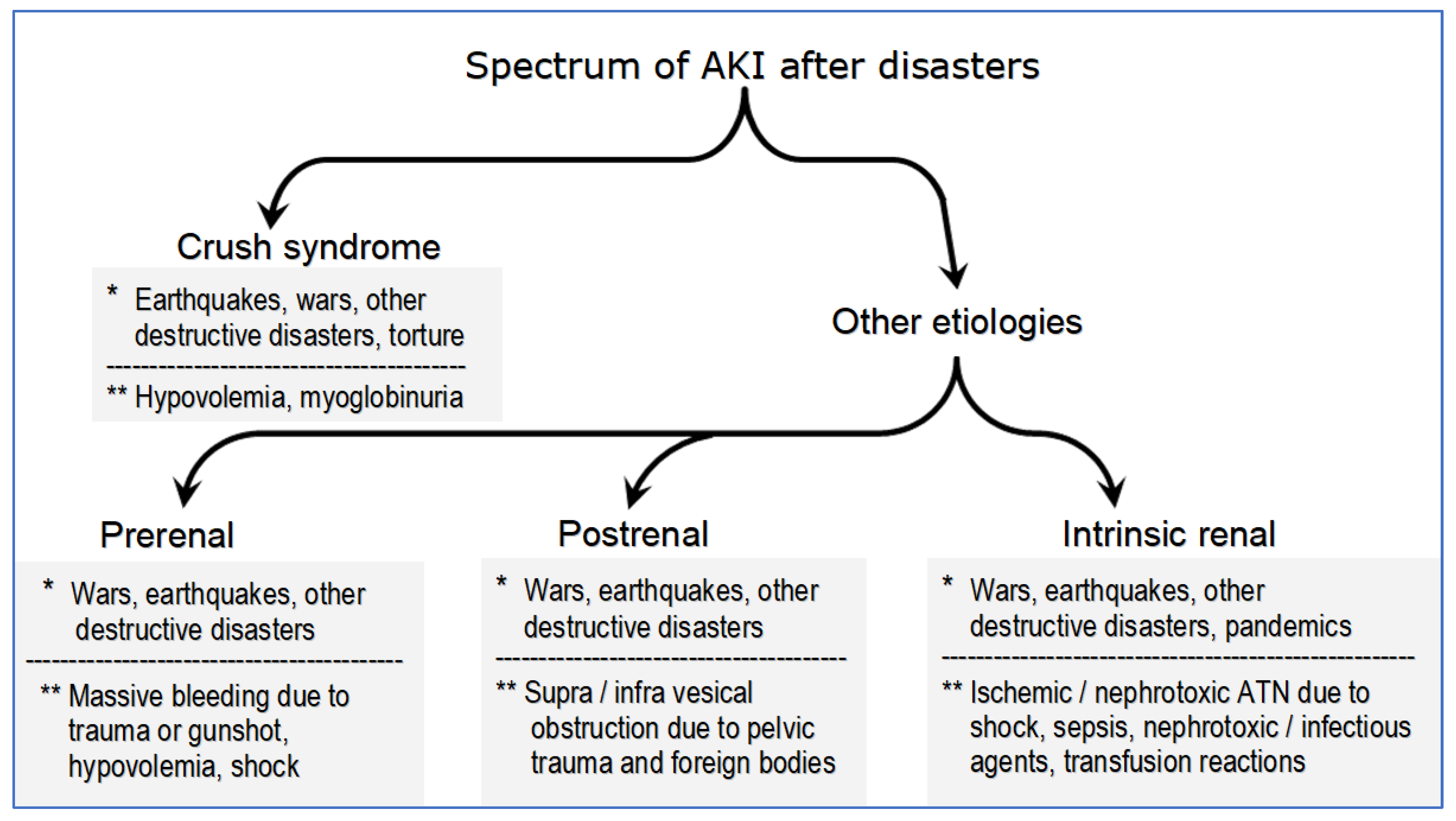 Kidneydial 02 00011 g001 550
