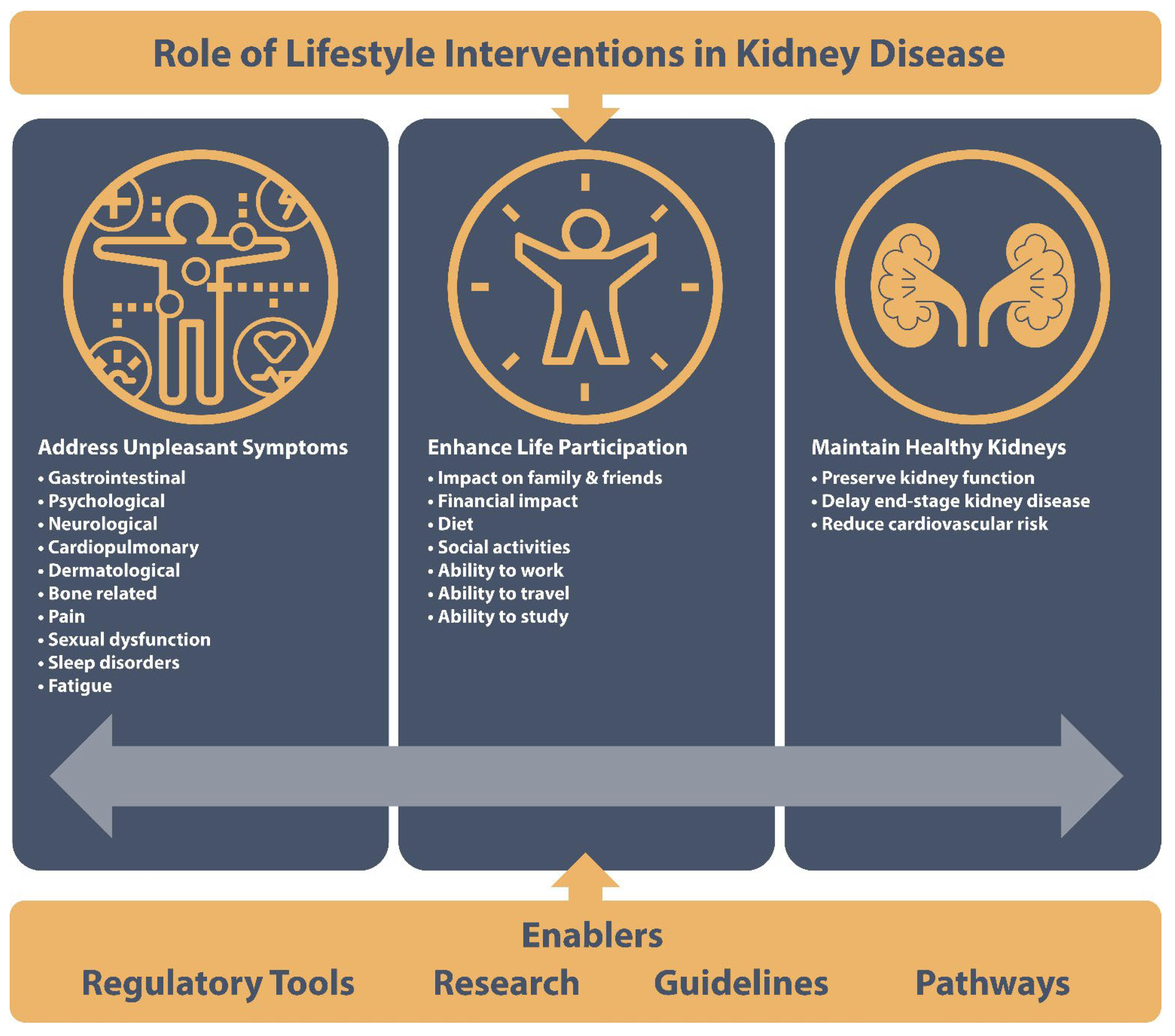 Kidneydial 02 00021 g001 550