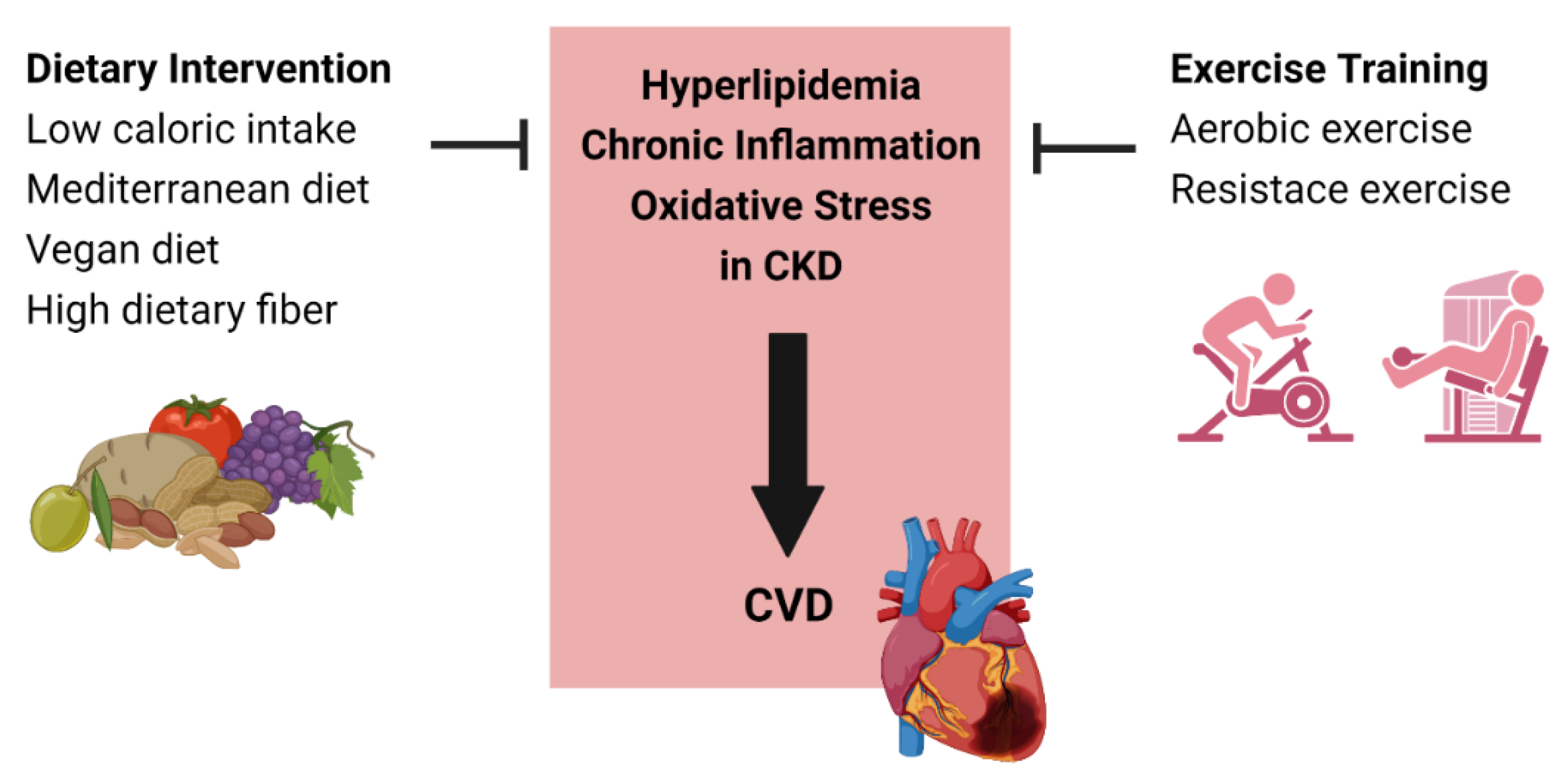 Kidney and Dialysis Free FullText Effects of Diet and Exercise on