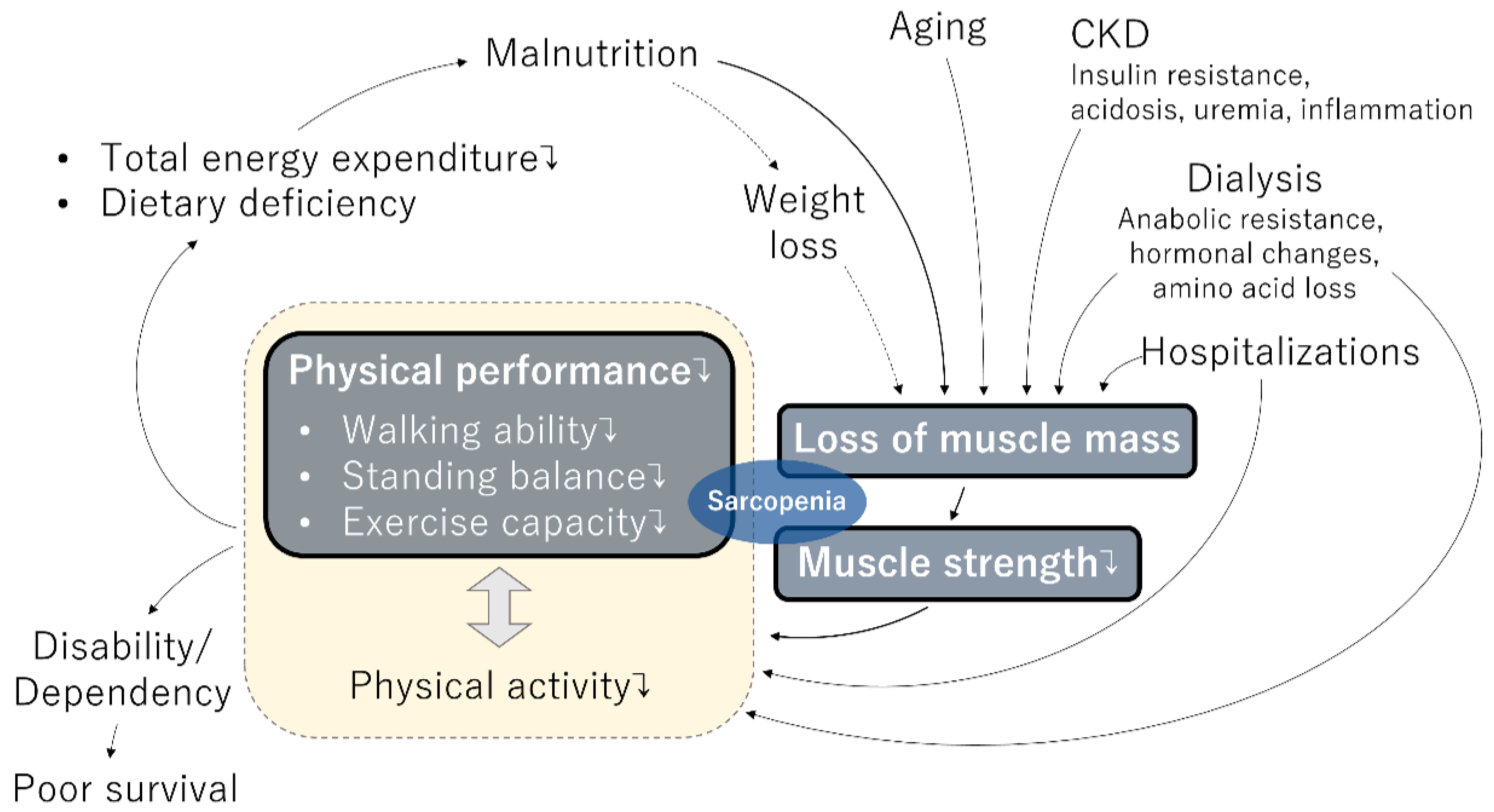Kidneydial 02 00051 g001