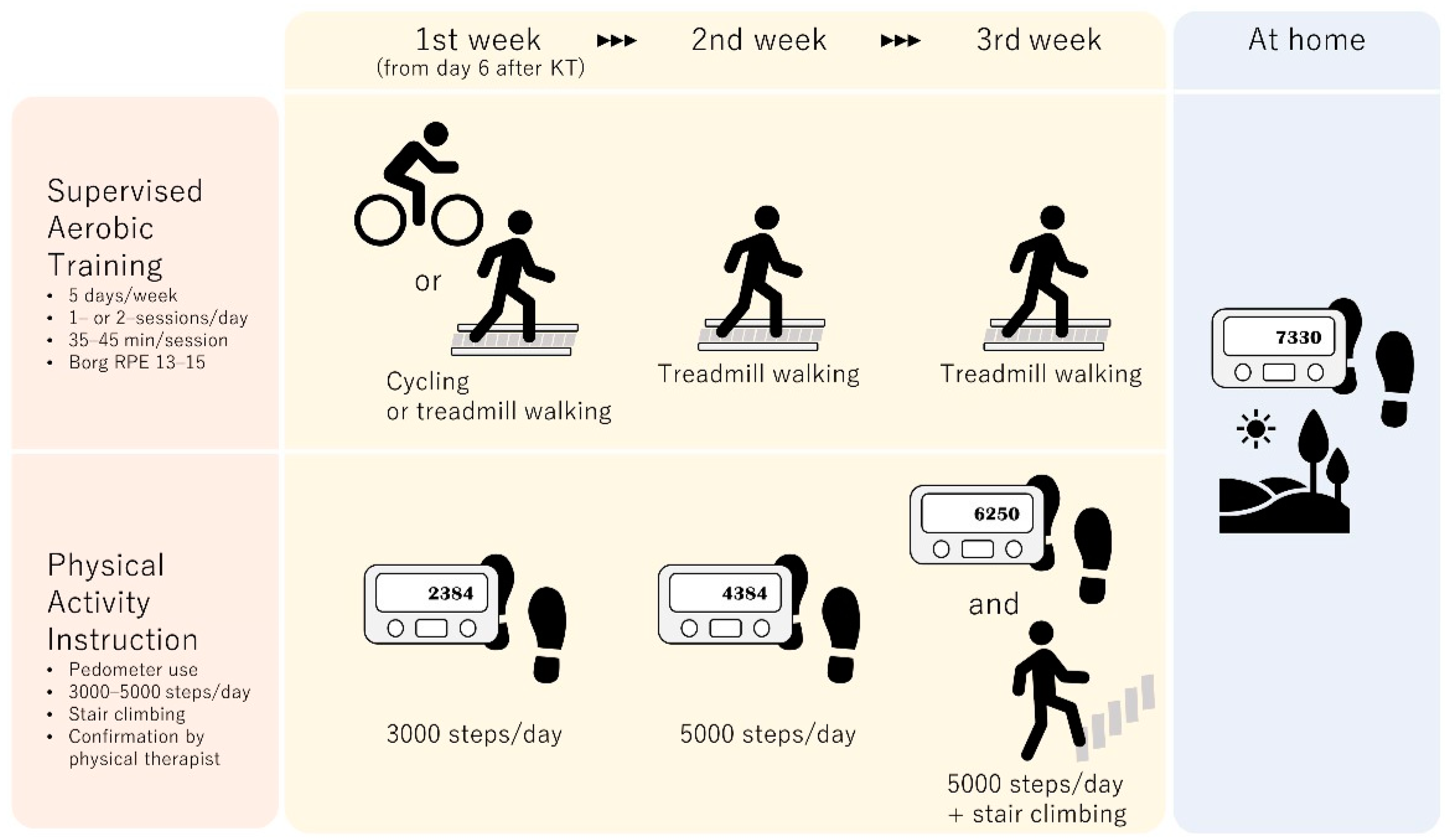Kidneydial 02 00051 g005