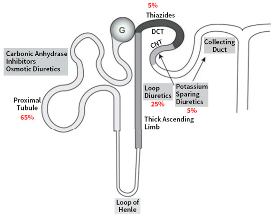 Average cost of furosemide 20mg