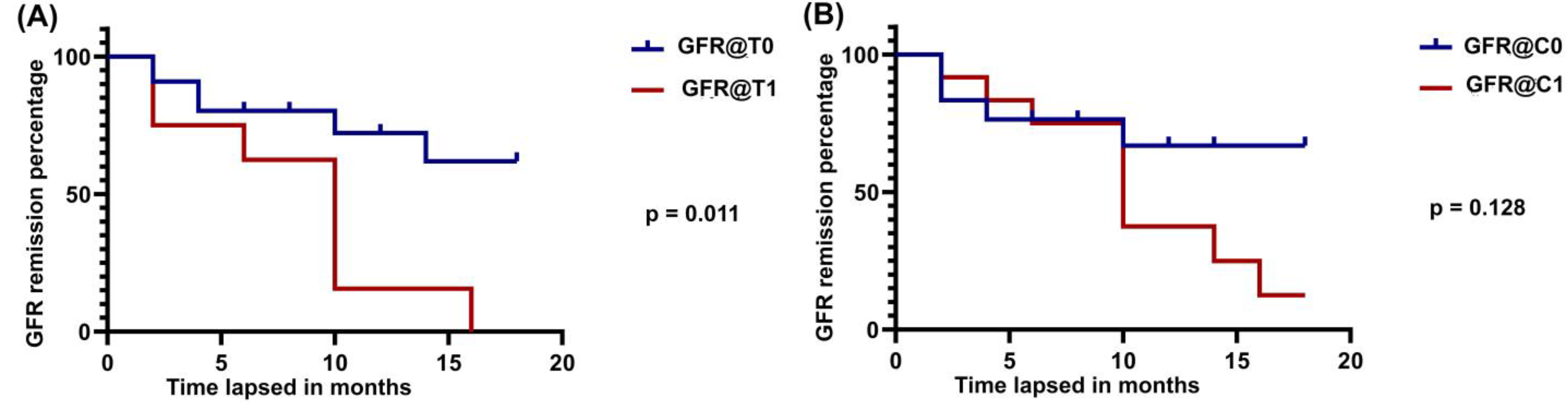 Kidneydial 03 00008 g004