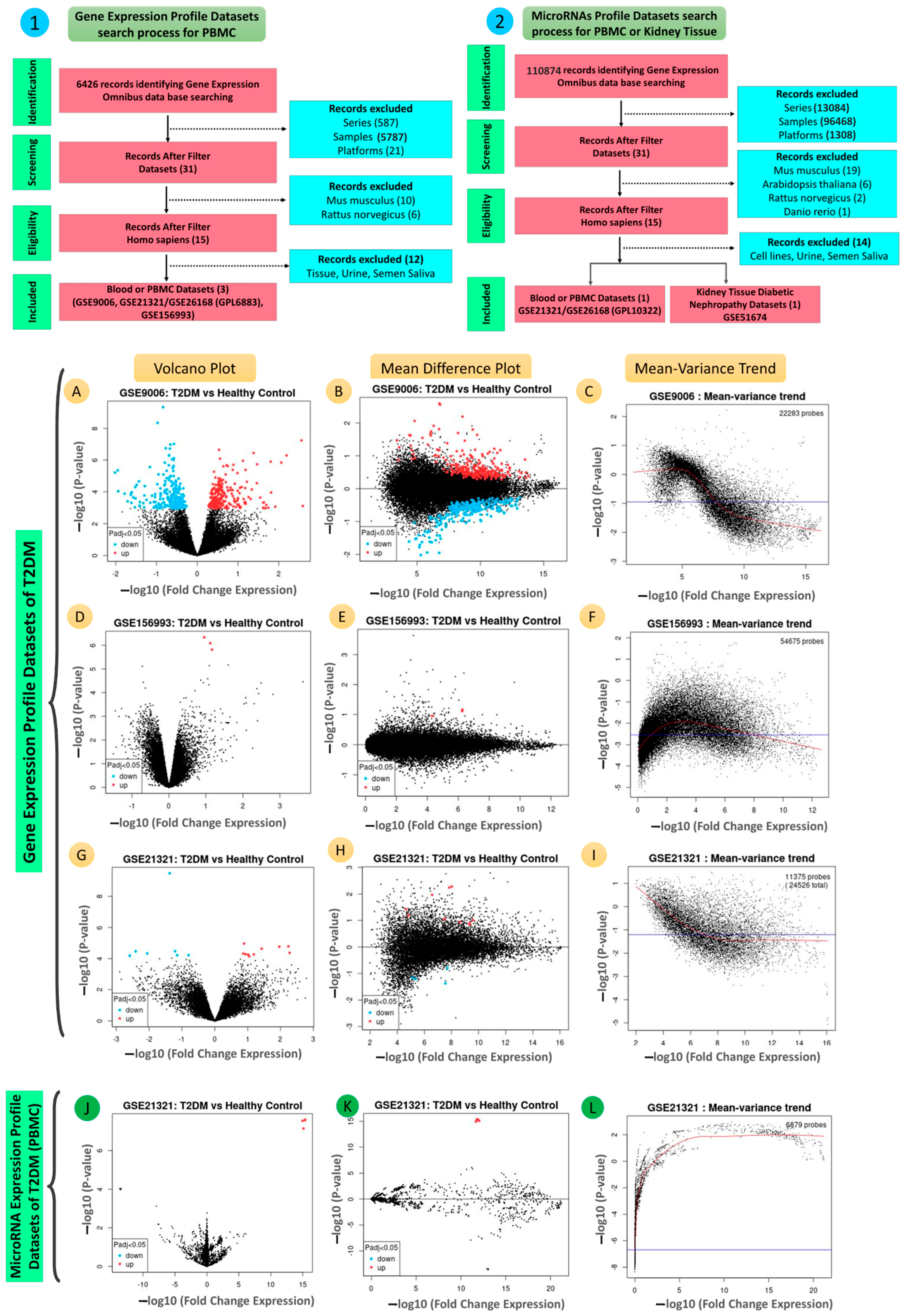 Kidneydial 03 00011 g001