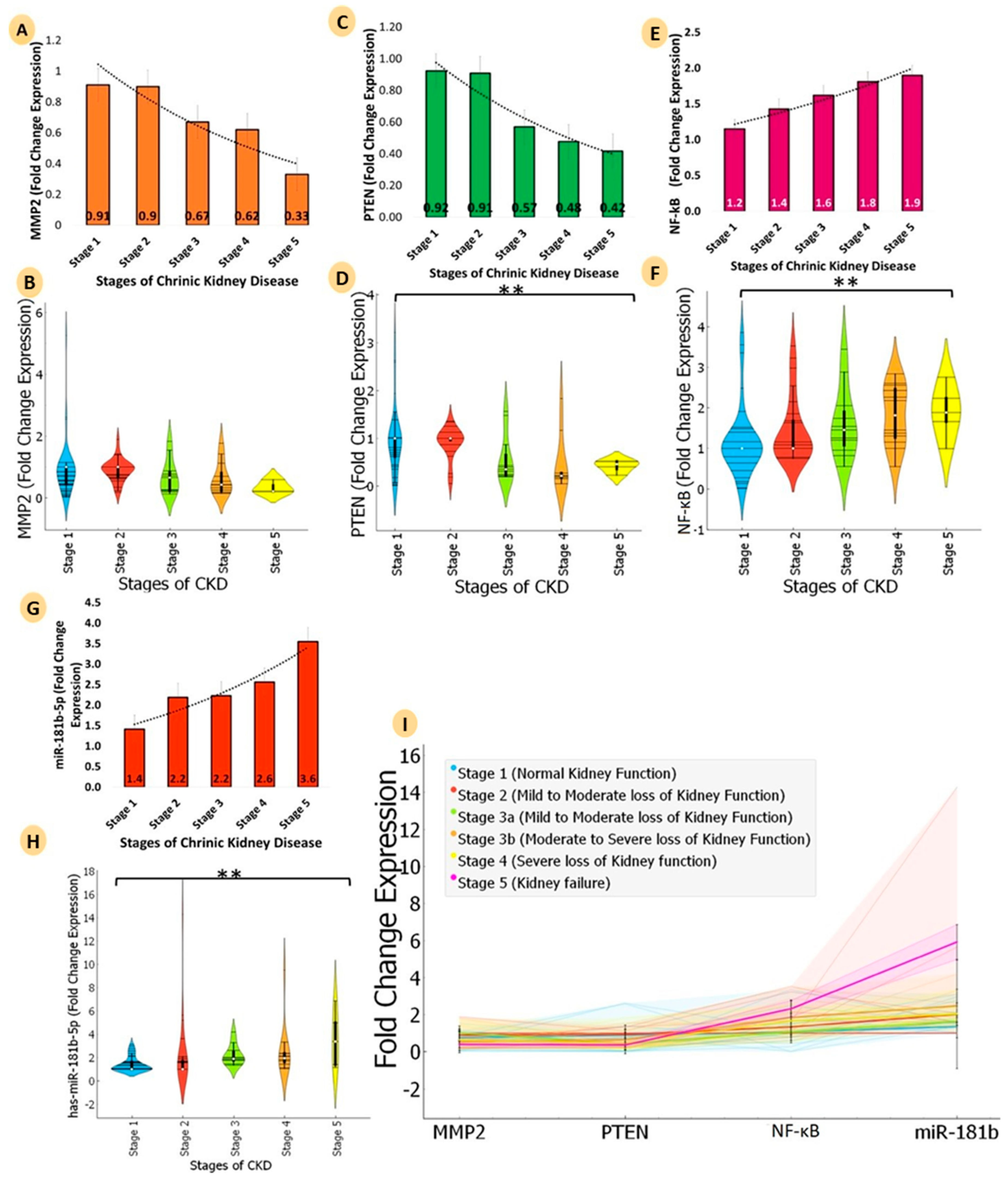 Kidneydial 03 00011 g004
