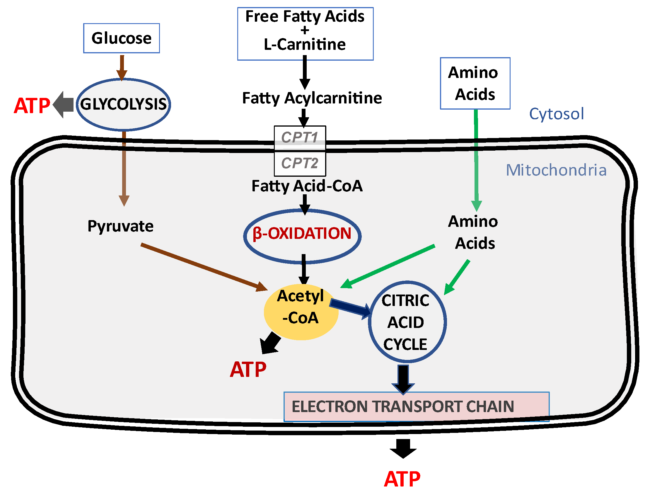 Kidneydial 03 00016 g002 Kidneydial 03 00016 g002