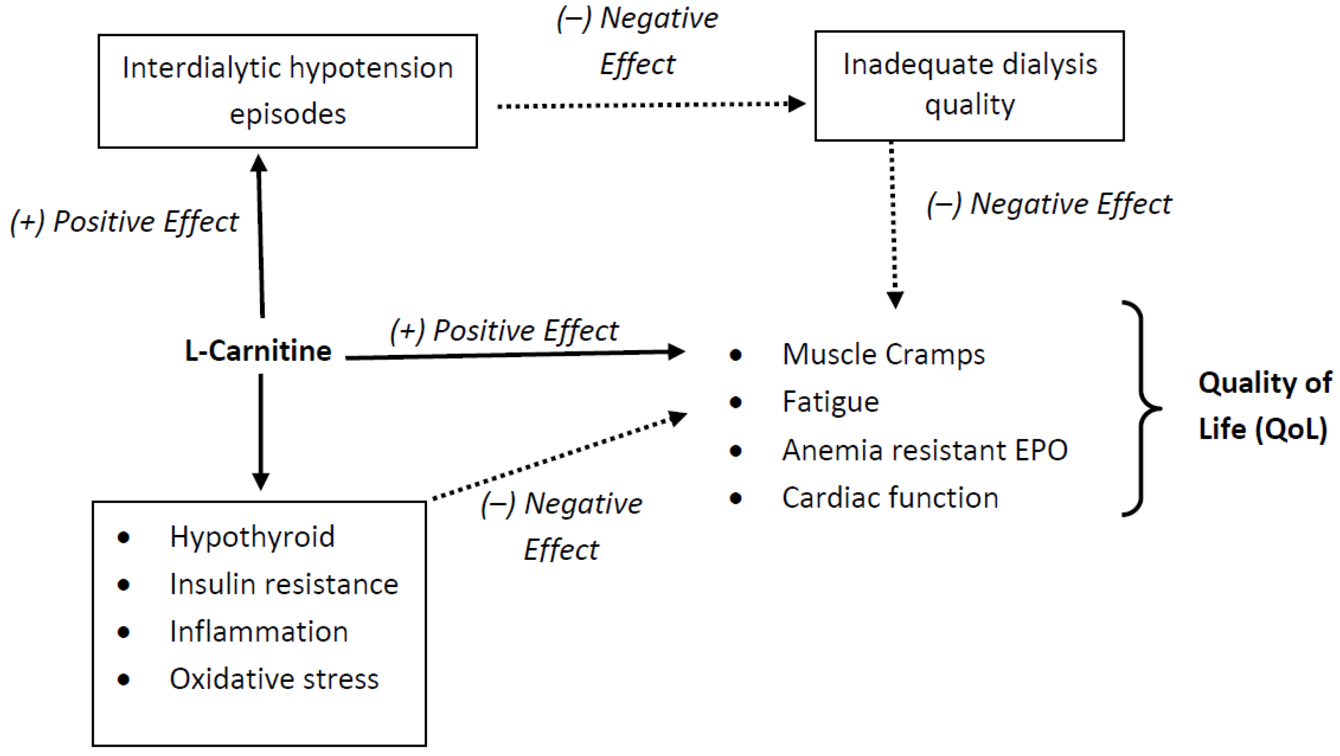 Kidneydial 03 00016 g004 Kidneydial 03 00016 g004