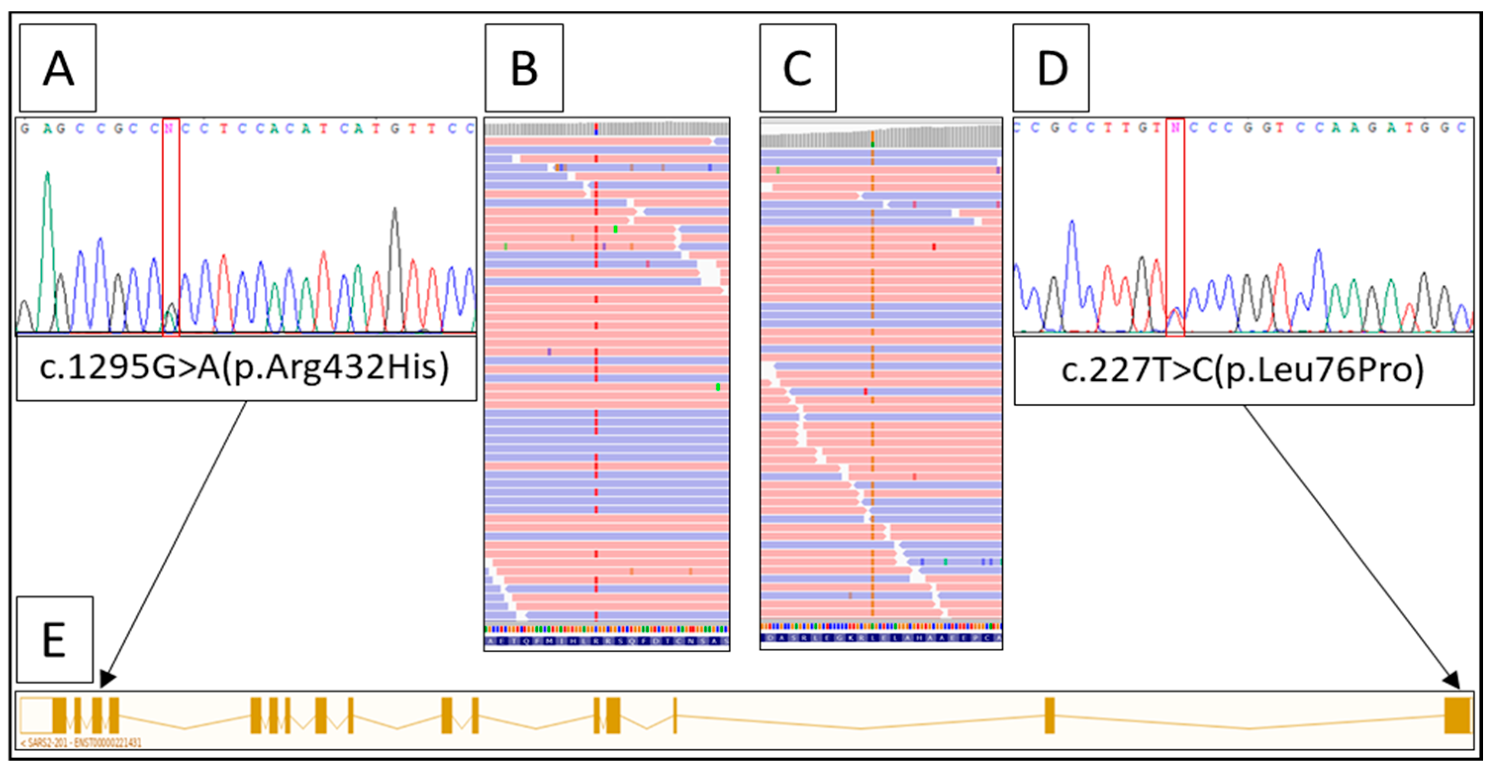 Kidneydial 03 00018 g003 Kidneydial 03 00018 g003