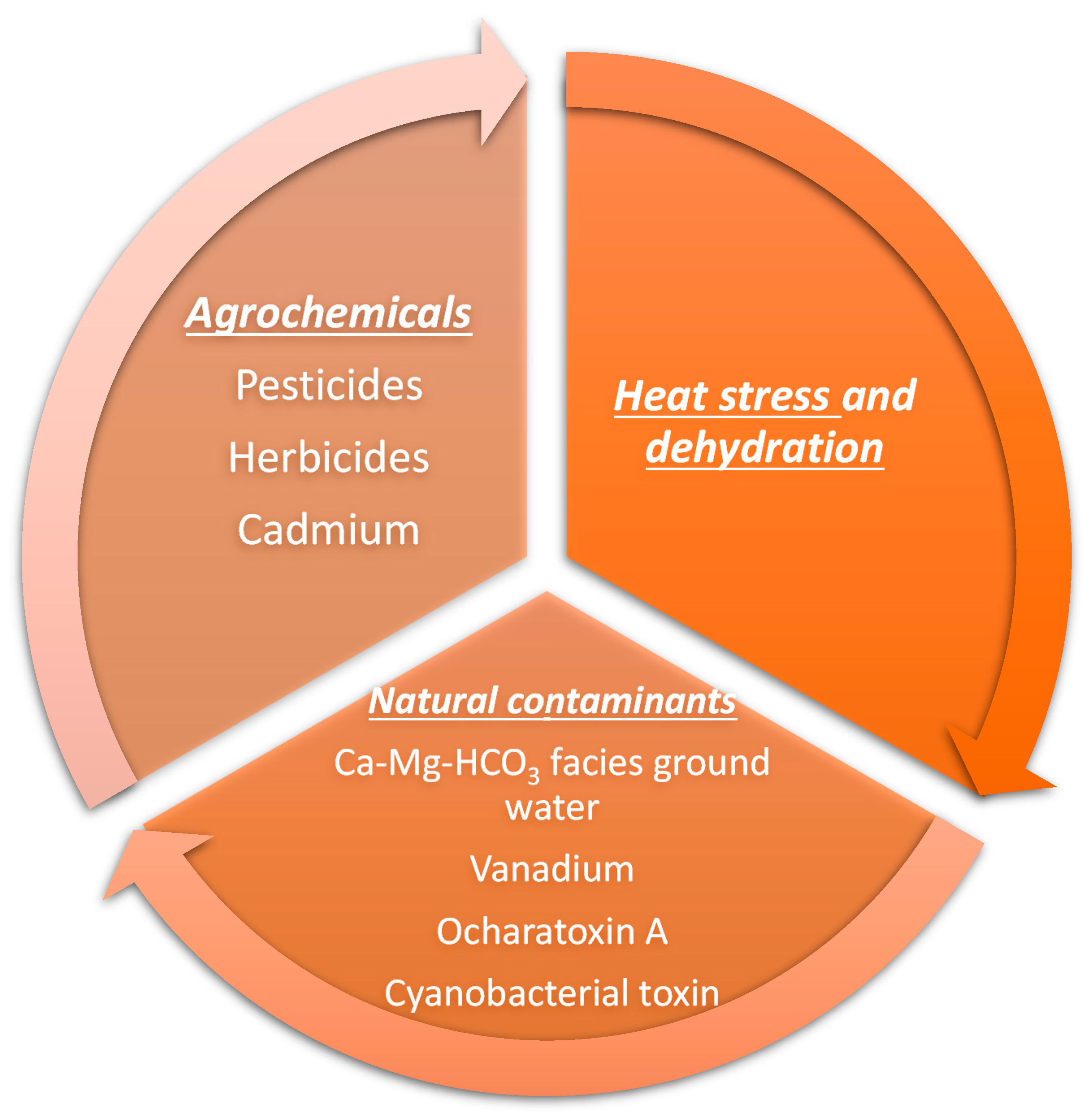 Kidneydial 03 00021 g001