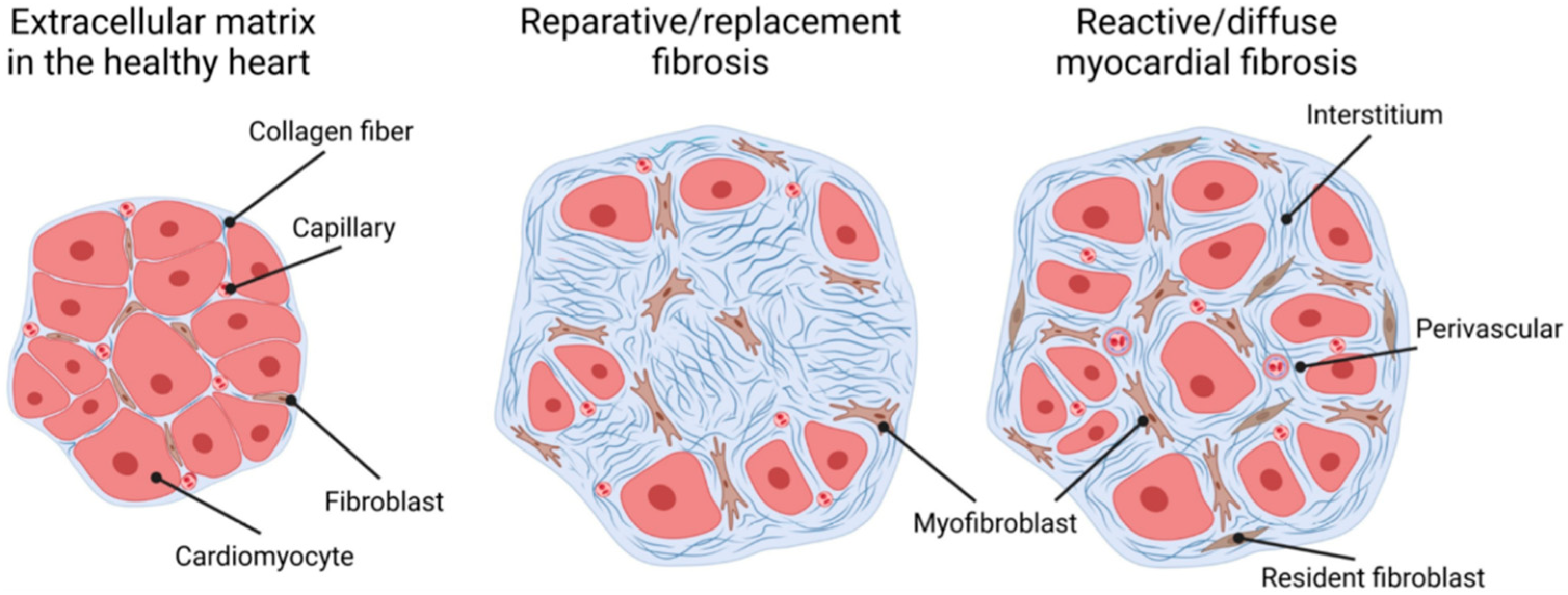 Kidneydial 03 00027 g001