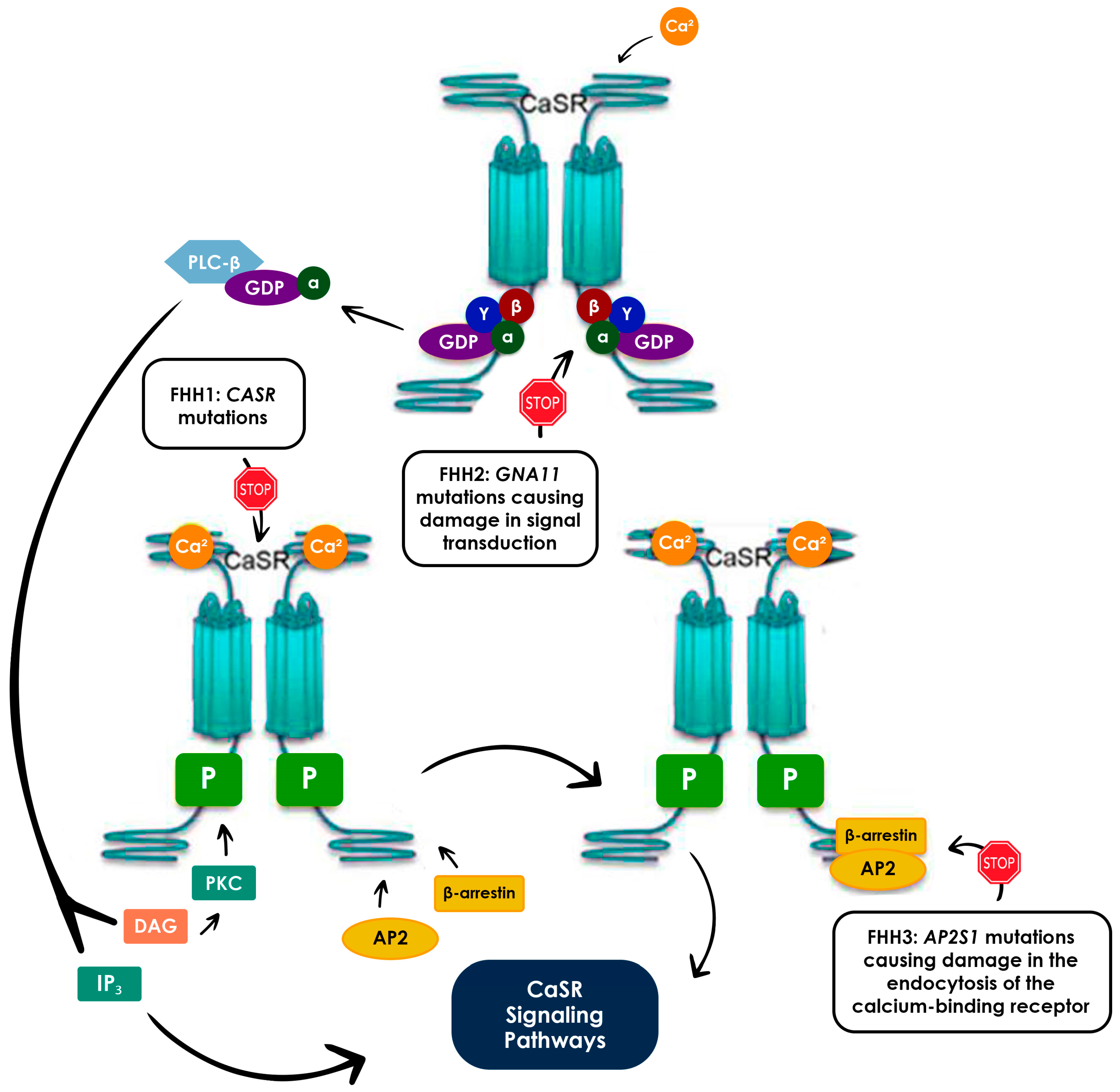 Kidneydial 05 00007 g002 Kidneydial 05 00007 g002