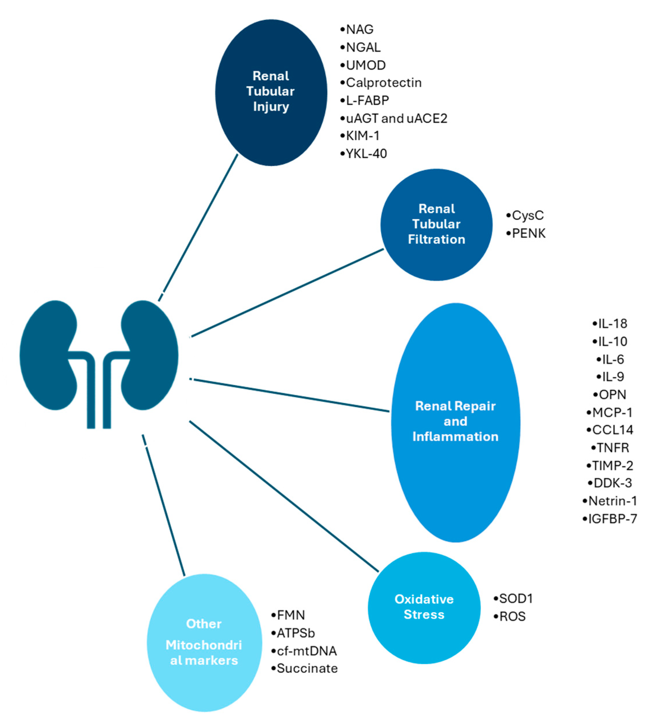 Kidneydial 05 00037 g001 Kidneydial 05 00037 g001