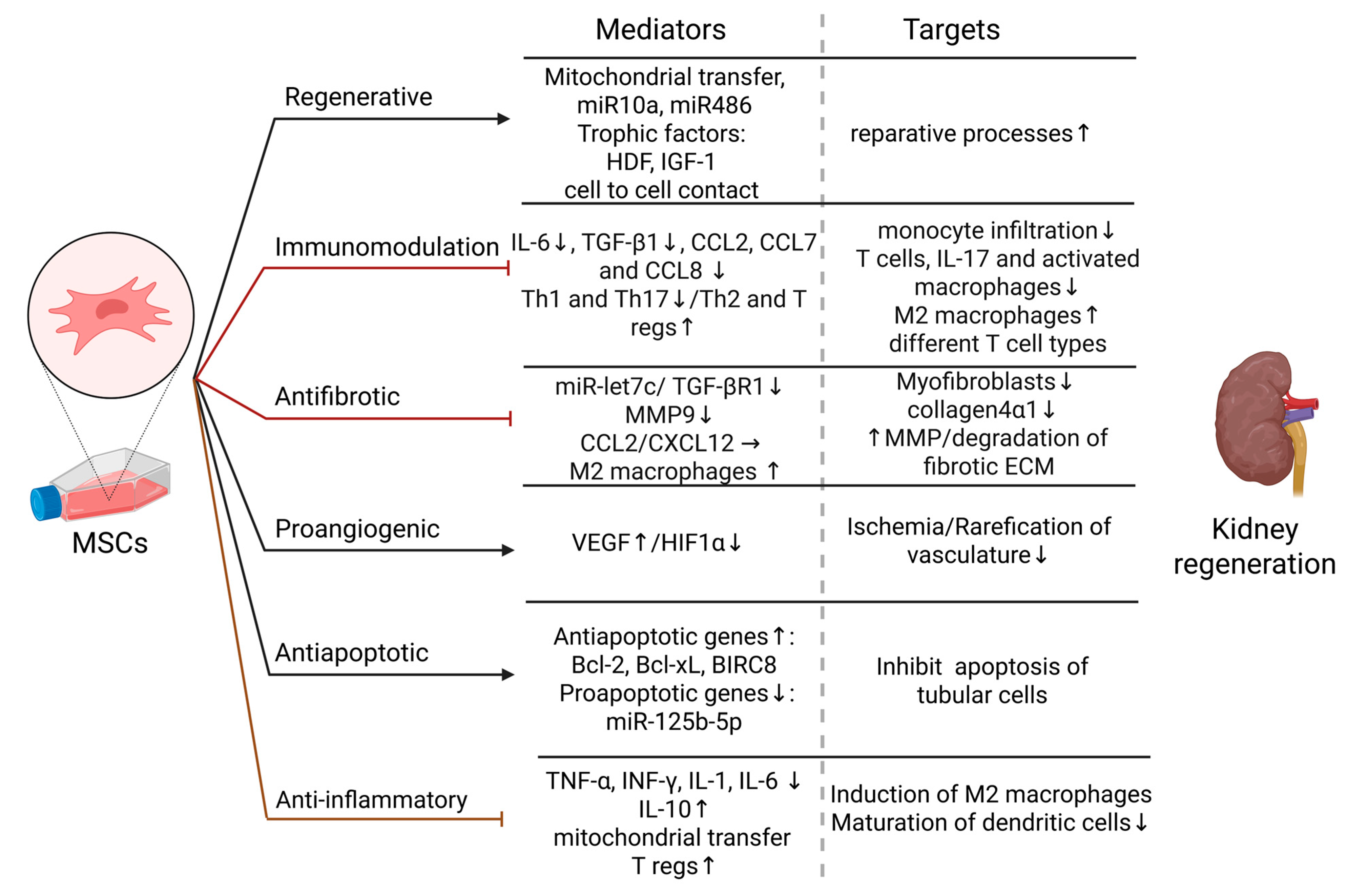 Kidneydial 05 00047 g001