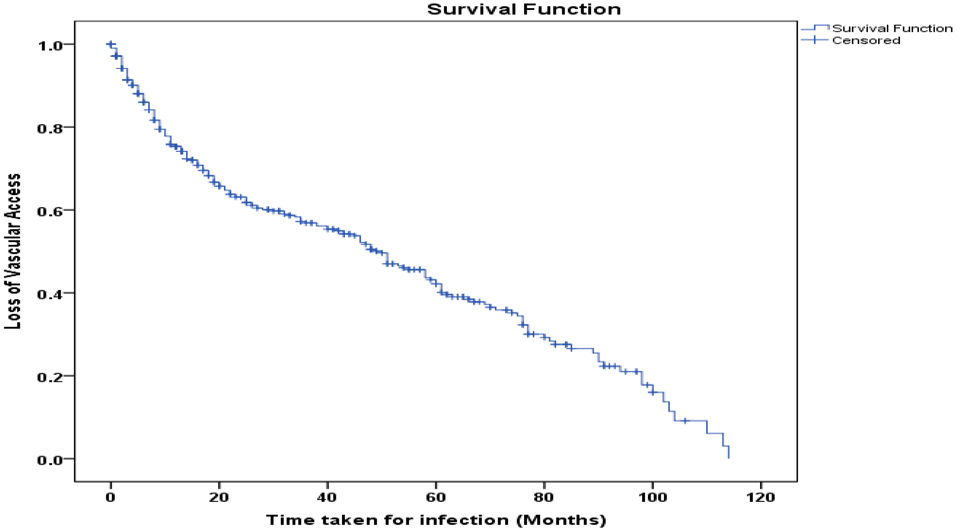 Kidneydial 05 00049 g004