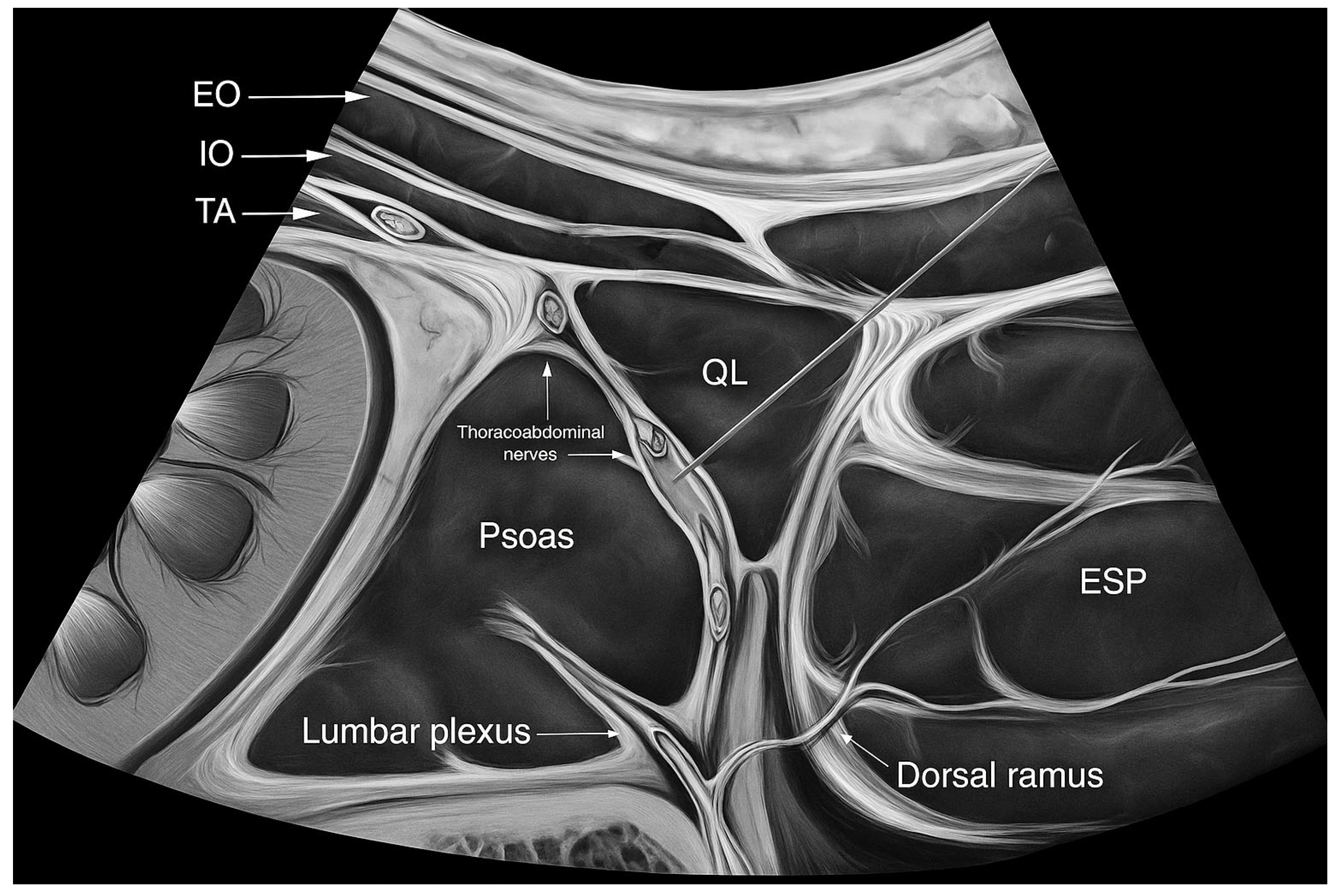 Kidneydial 05 00055 g001