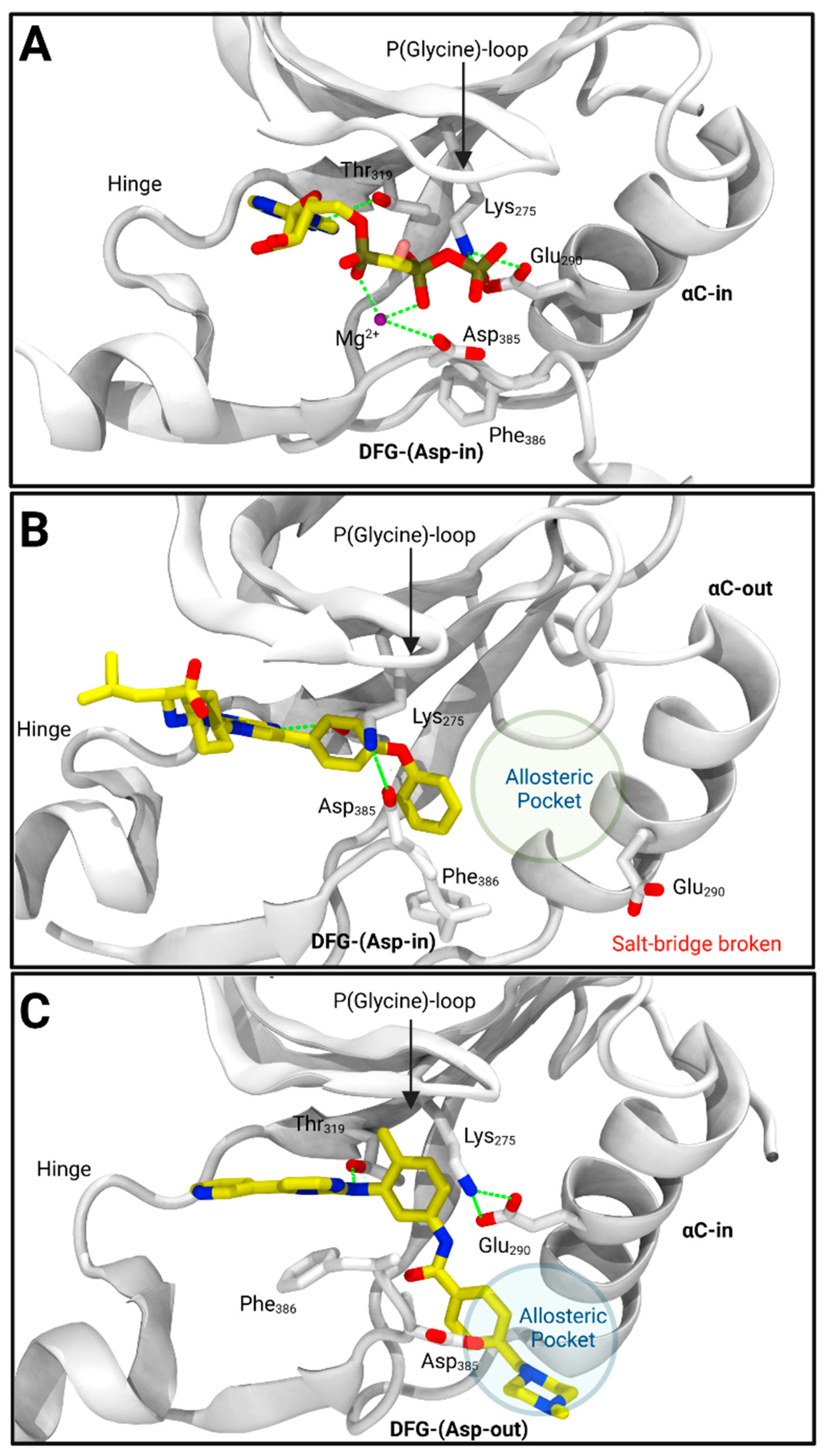 Kinasesphosphatases 01 00004 g003