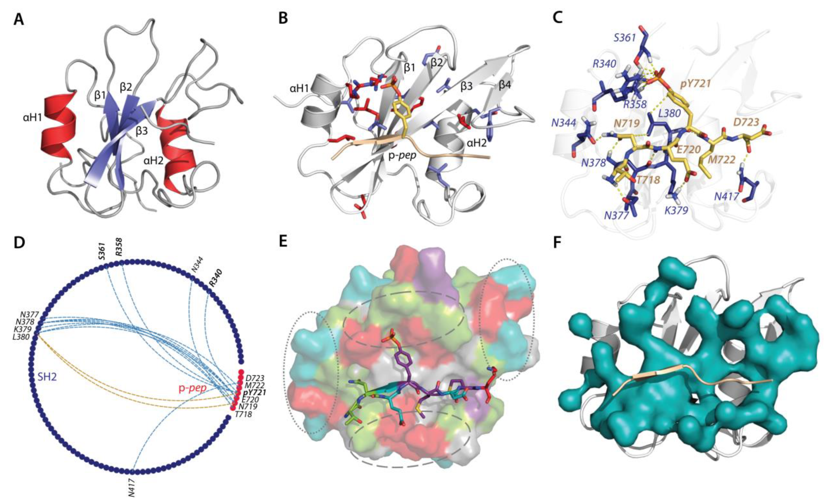 Kinasesphosphatases 01 00005 g005 Kinasesphosphatases 01 00005 g005