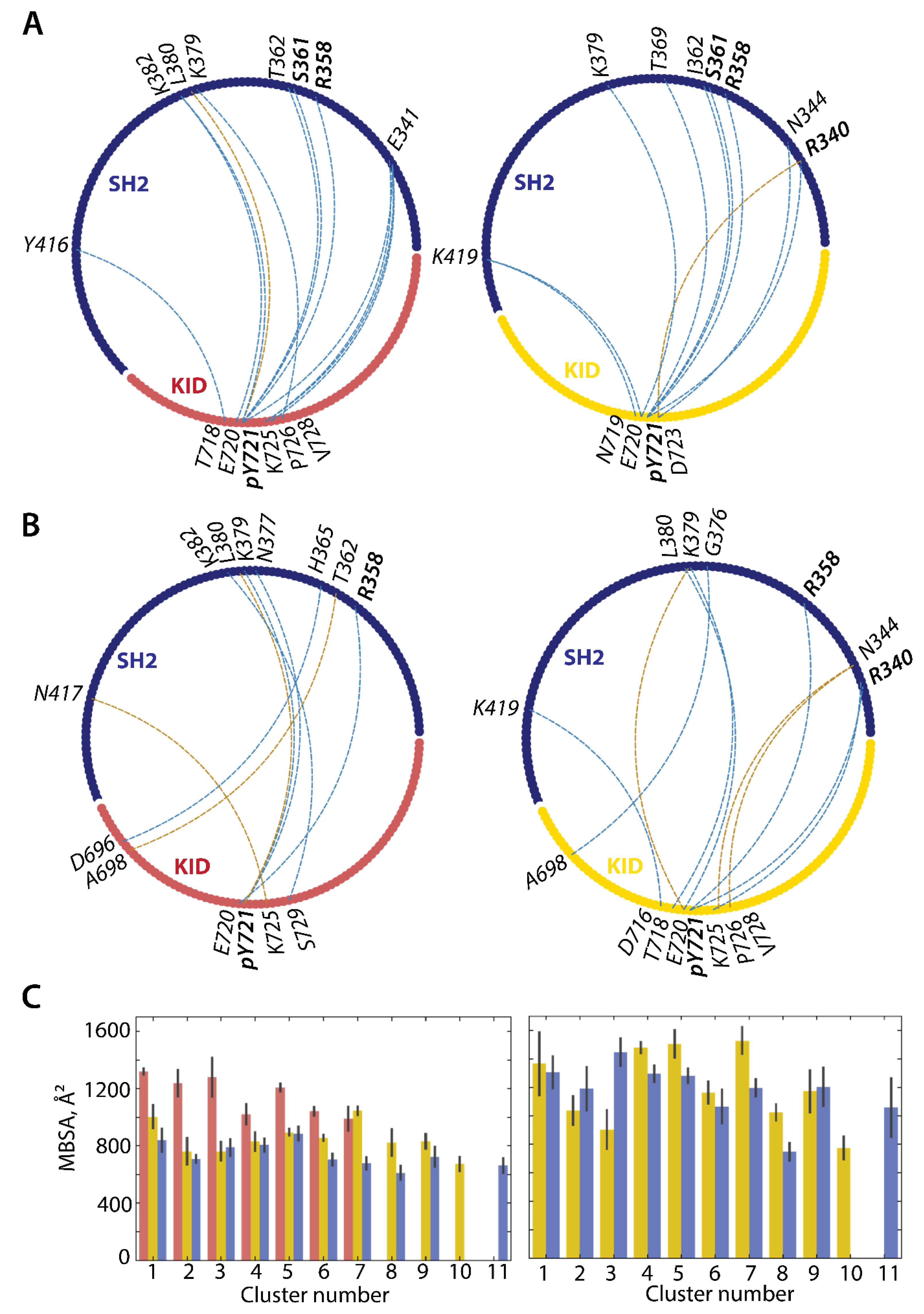 Kinasesphosphatases 01 00005 g009 Kinasesphosphatases 01 00005 g009