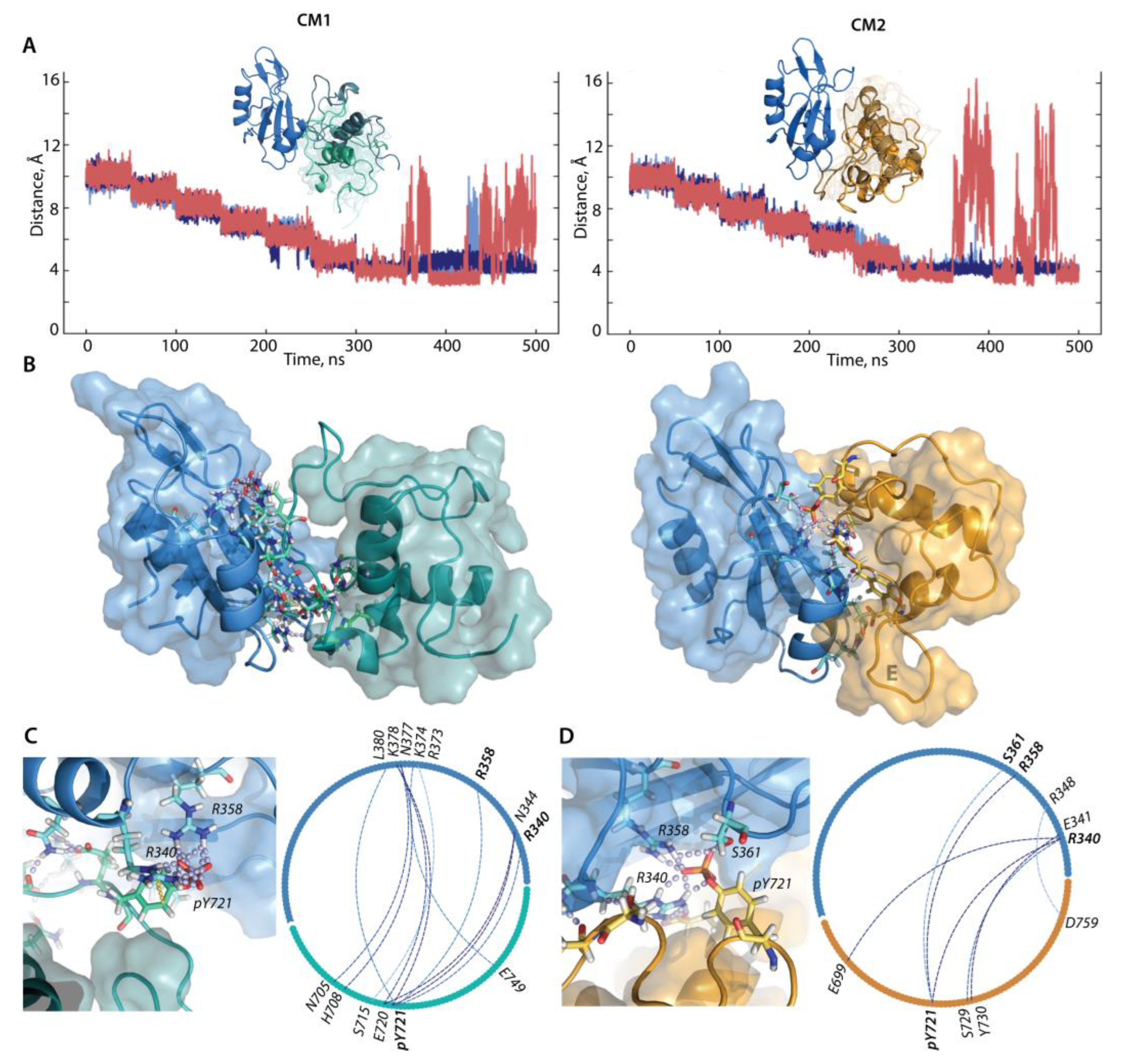 Kinasesphosphatases 01 00005 g010 Kinasesphosphatases 01 00005 g010