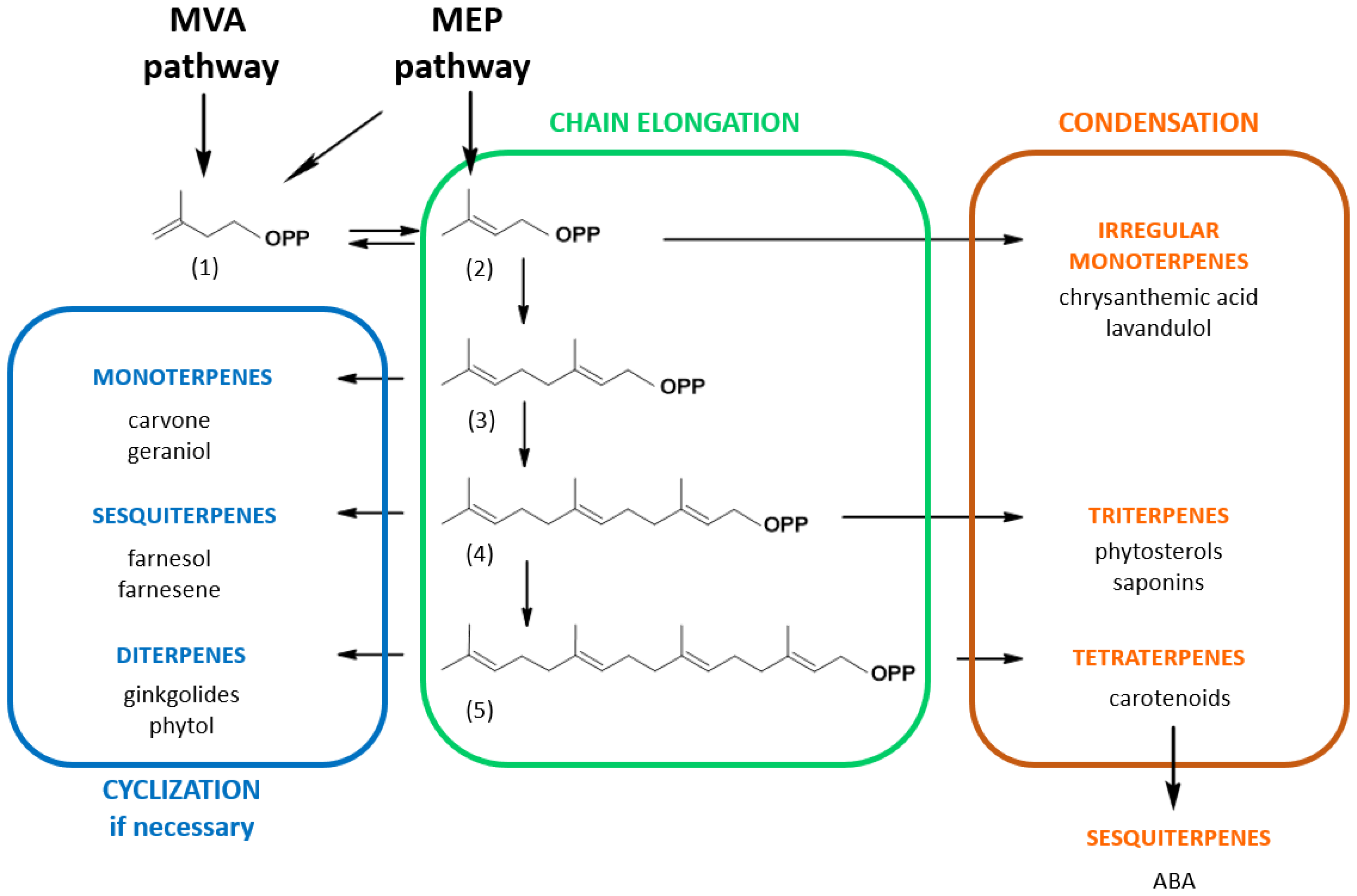 Kinasesphosphatases 01 00010 g001 Kinasesphosphatases 01 00010 g001