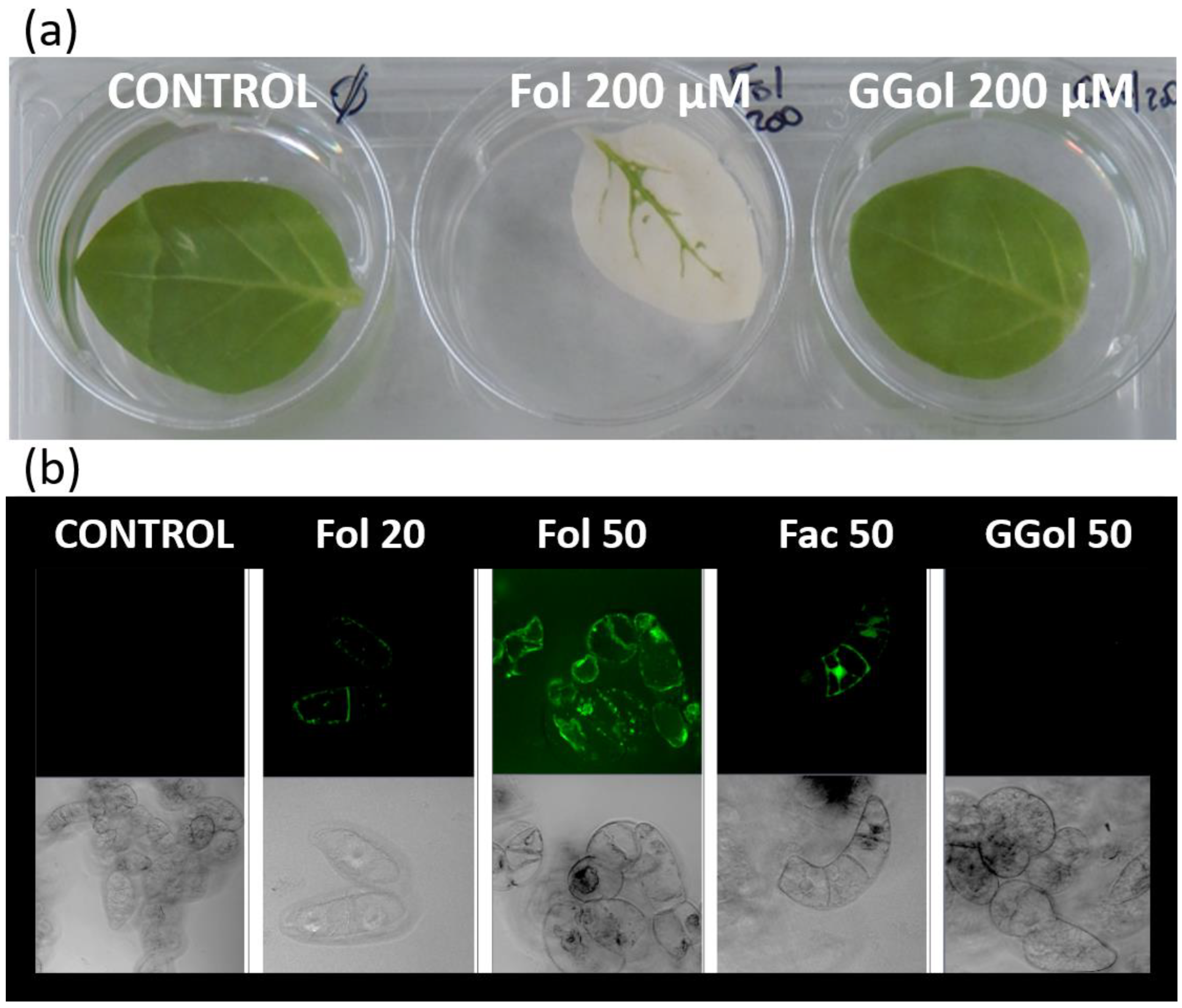 Kinasesphosphatases 01 00010 g002 Kinasesphosphatases 01 00010 g002