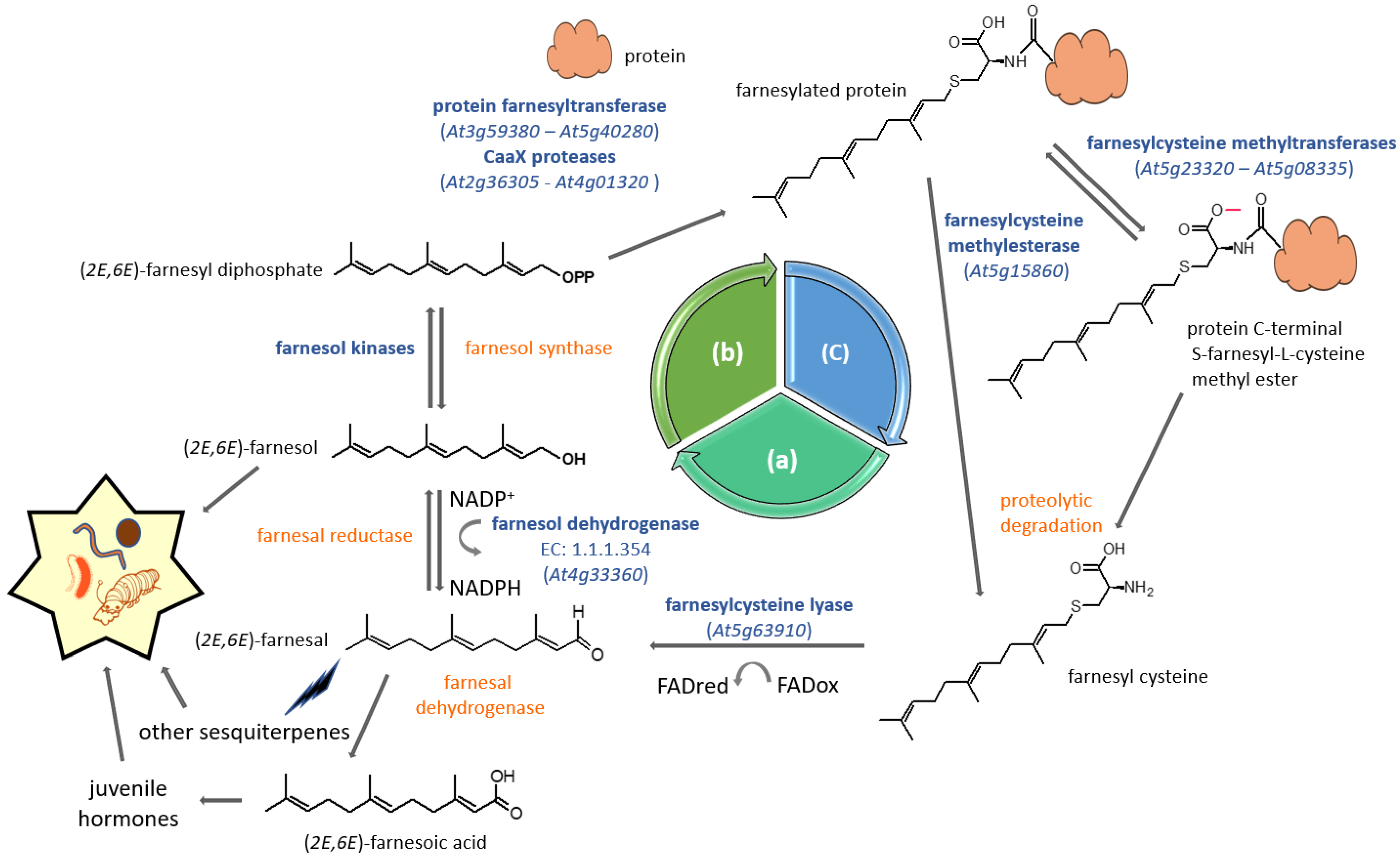 Kinasesphosphatases 01 00010 g004 Kinasesphosphatases 01 00010 g004