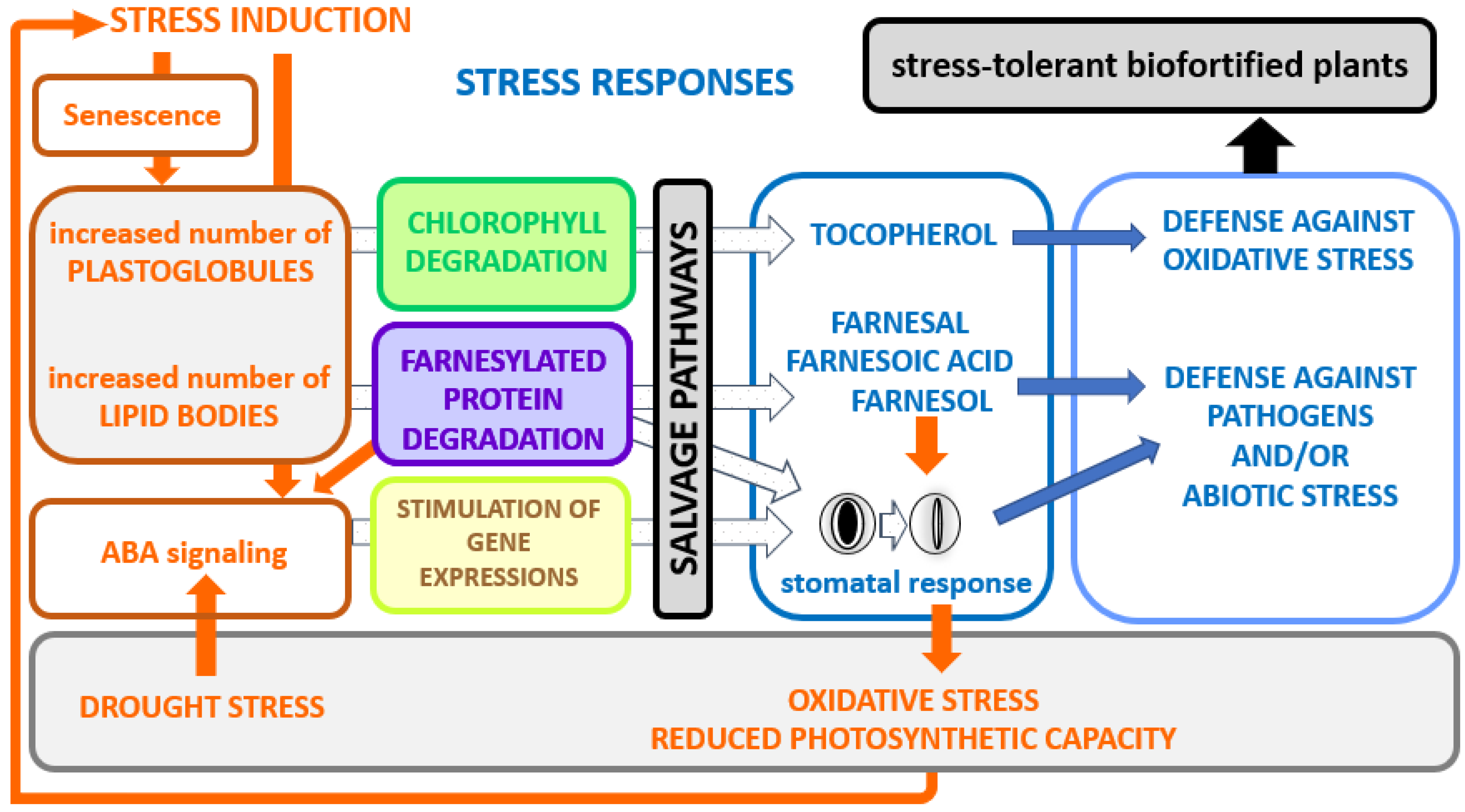 Kinasesphosphatases 01 00010 g006 Kinasesphosphatases 01 00010 g006