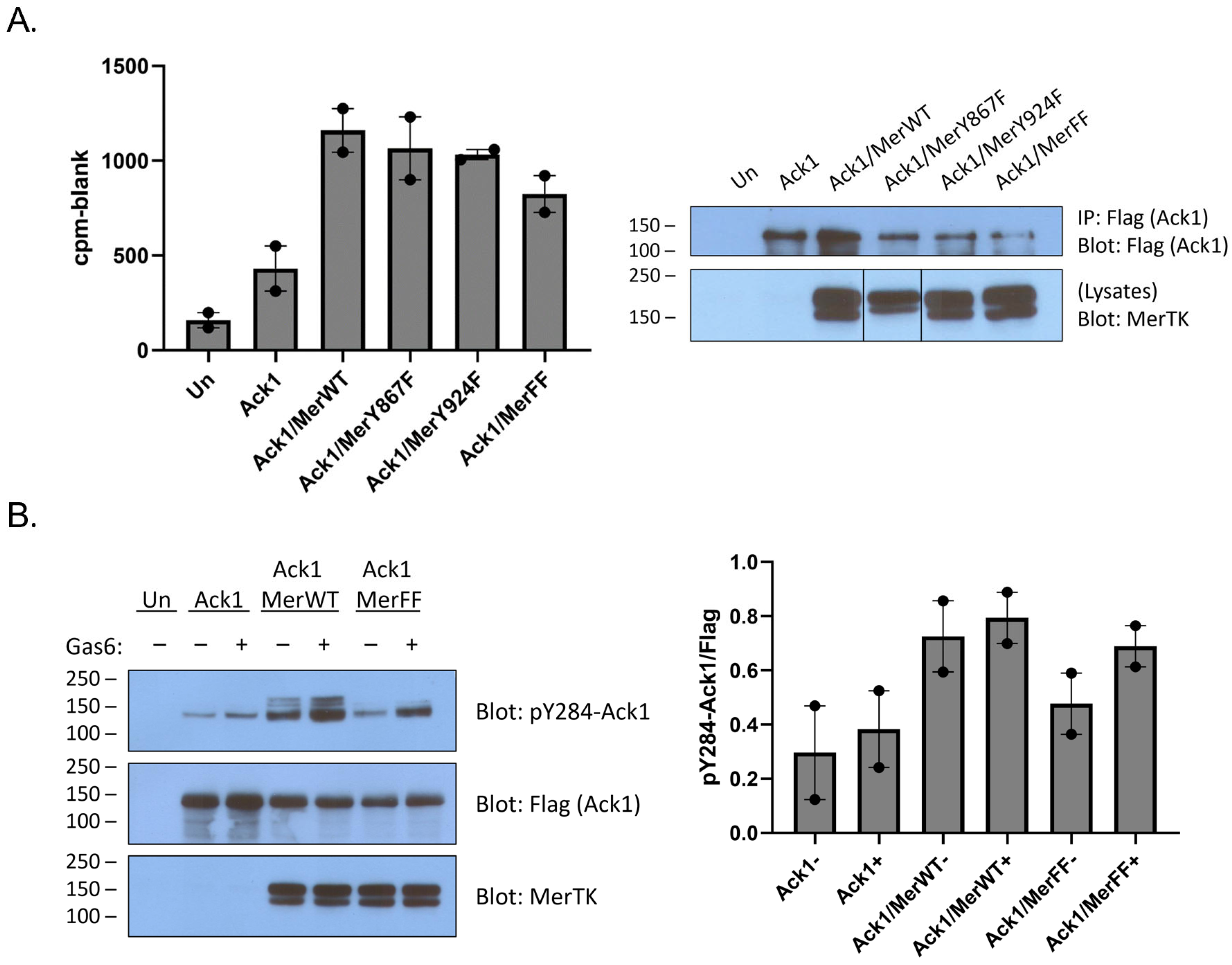 Kinasesphosphatases 01 00011 g002