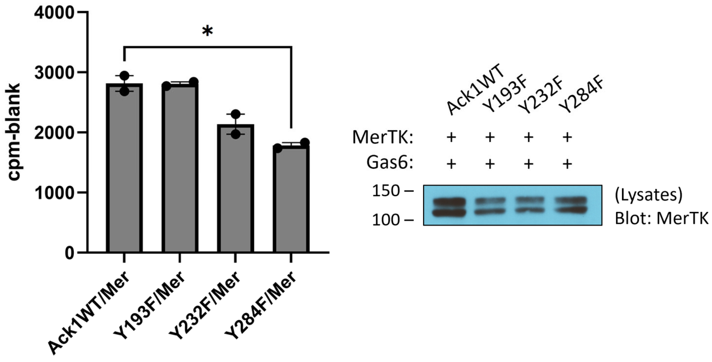 Kinasesphosphatases 01 00011 g003