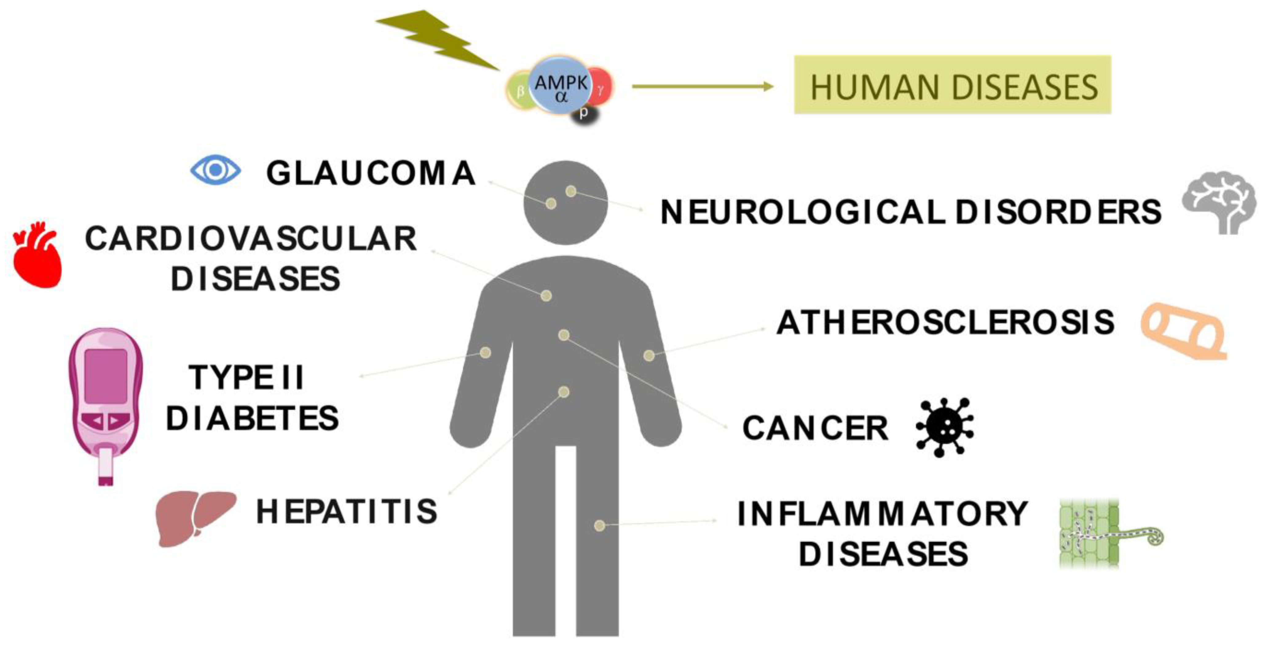 Kinasesphosphatases 01 00012 g003