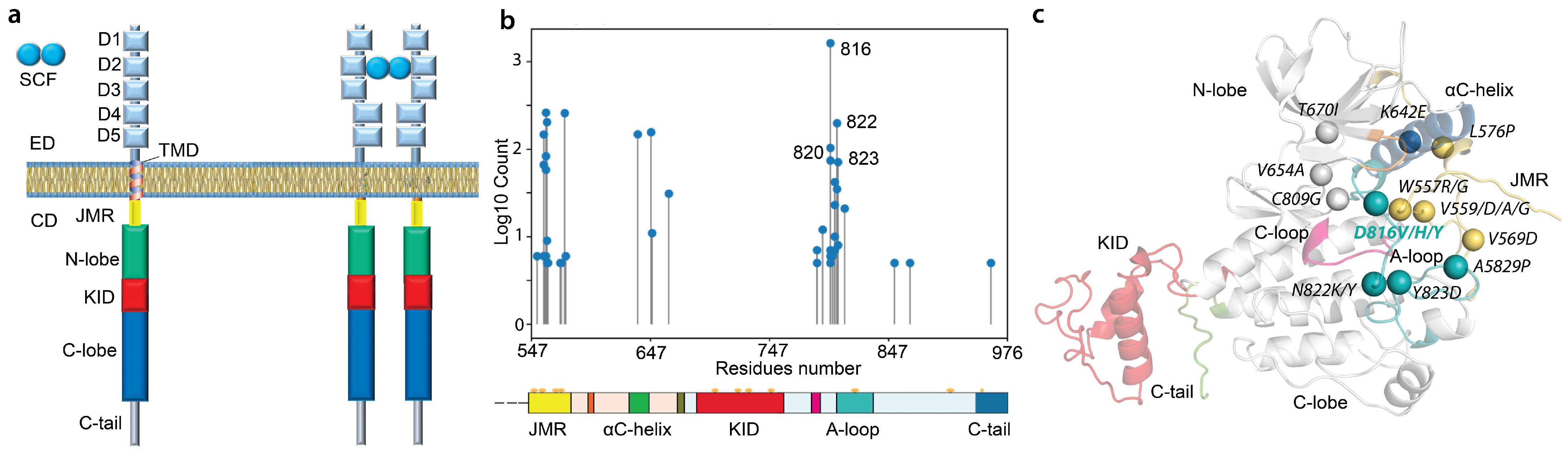 Kinasesphosphatases 01 00014 g001