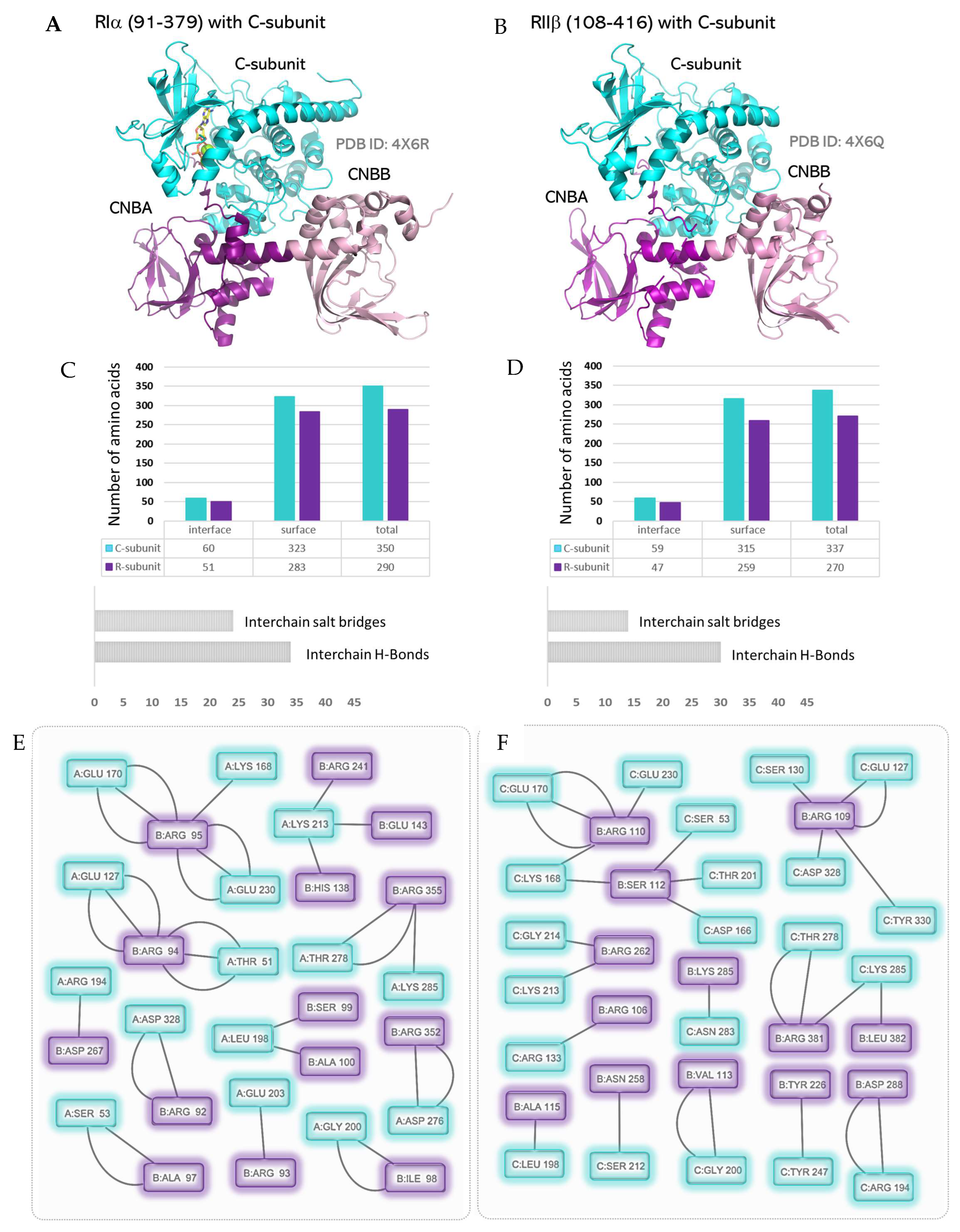 Kinasesphosphatases 01 00016 g006 Kinasesphosphatases 01 00016 g006