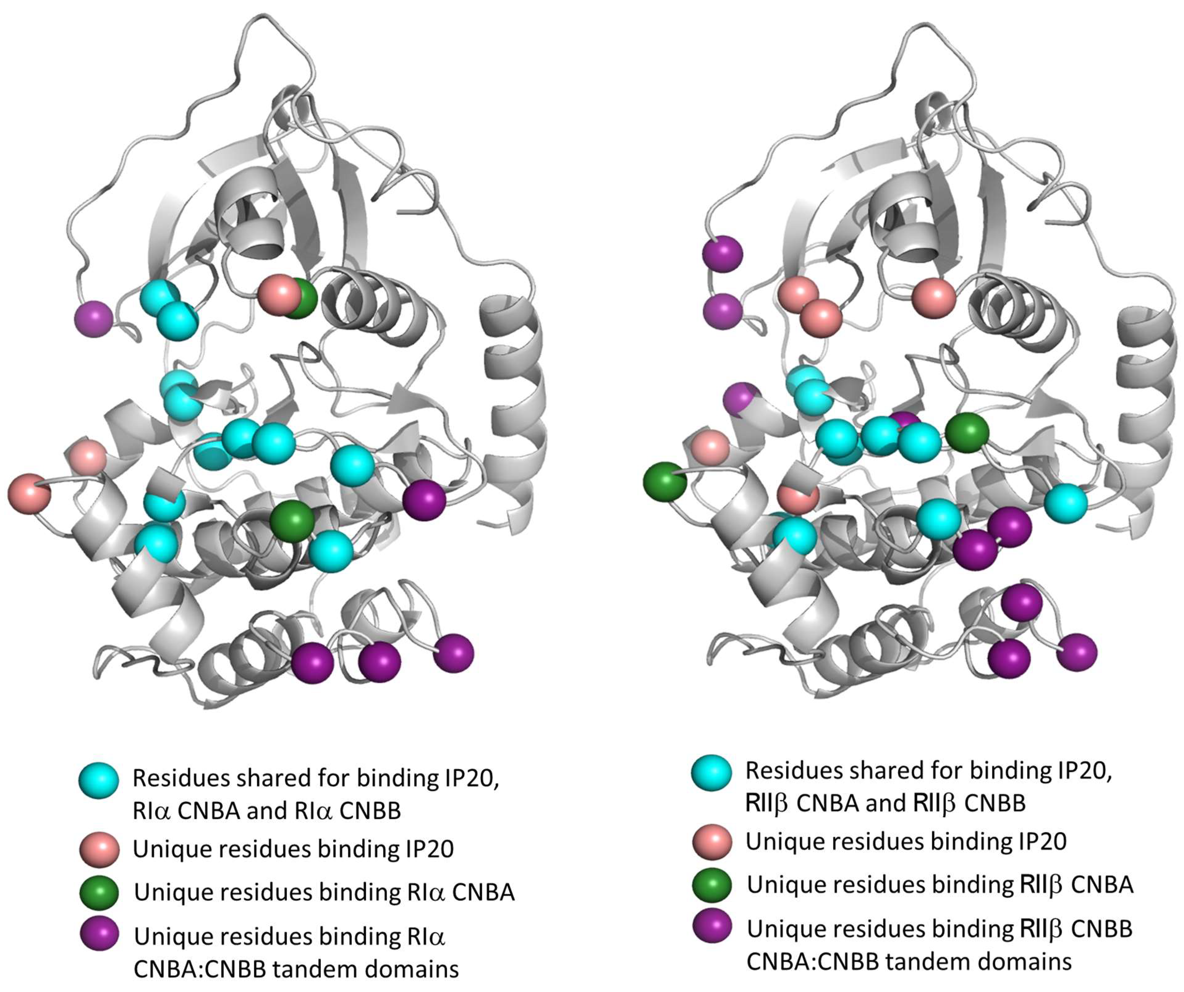 Kinasesphosphatases 01 00016 g007 Kinasesphosphatases 01 00016 g007