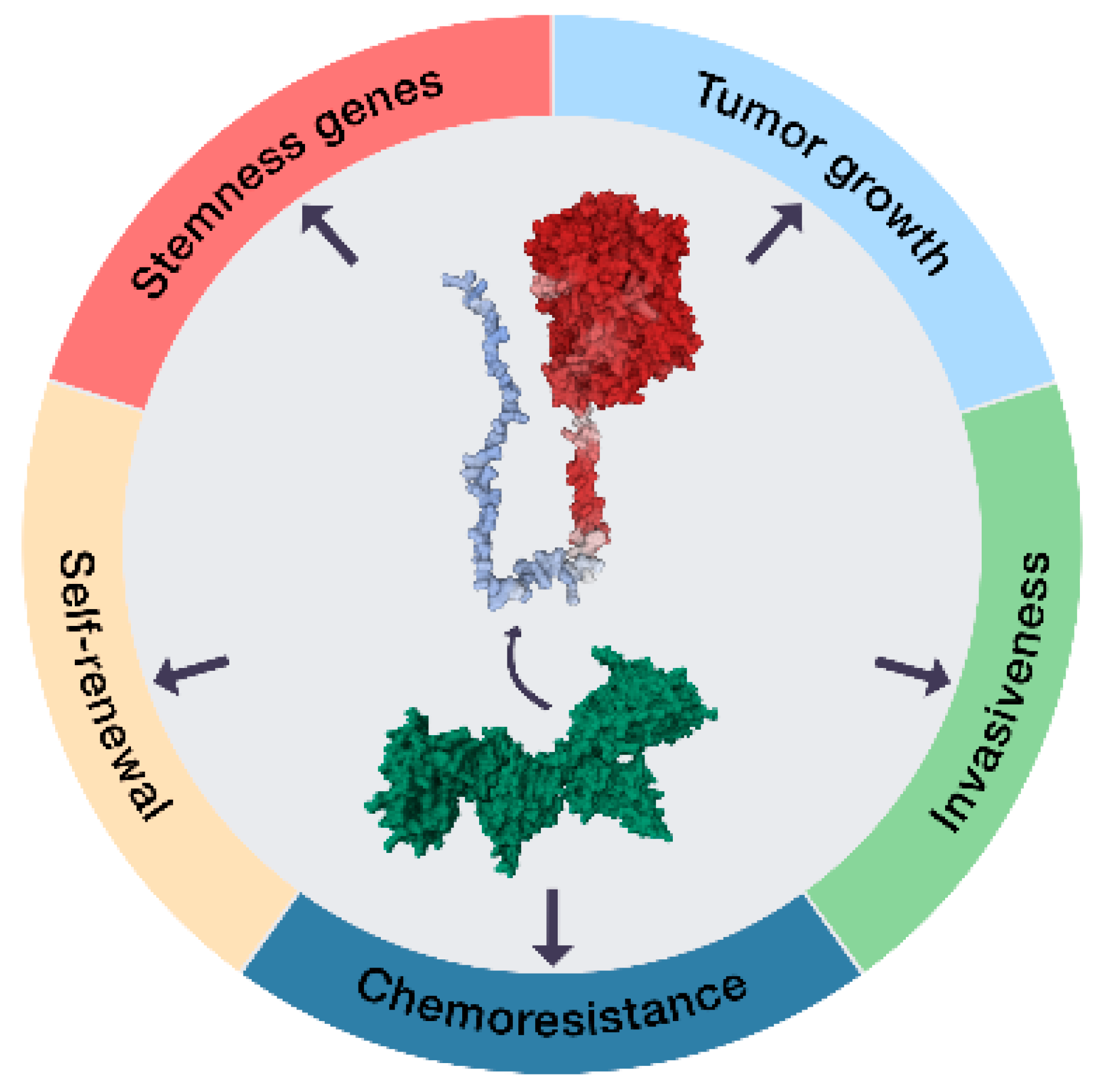 Kinasesphosphatases 02 00001 g001