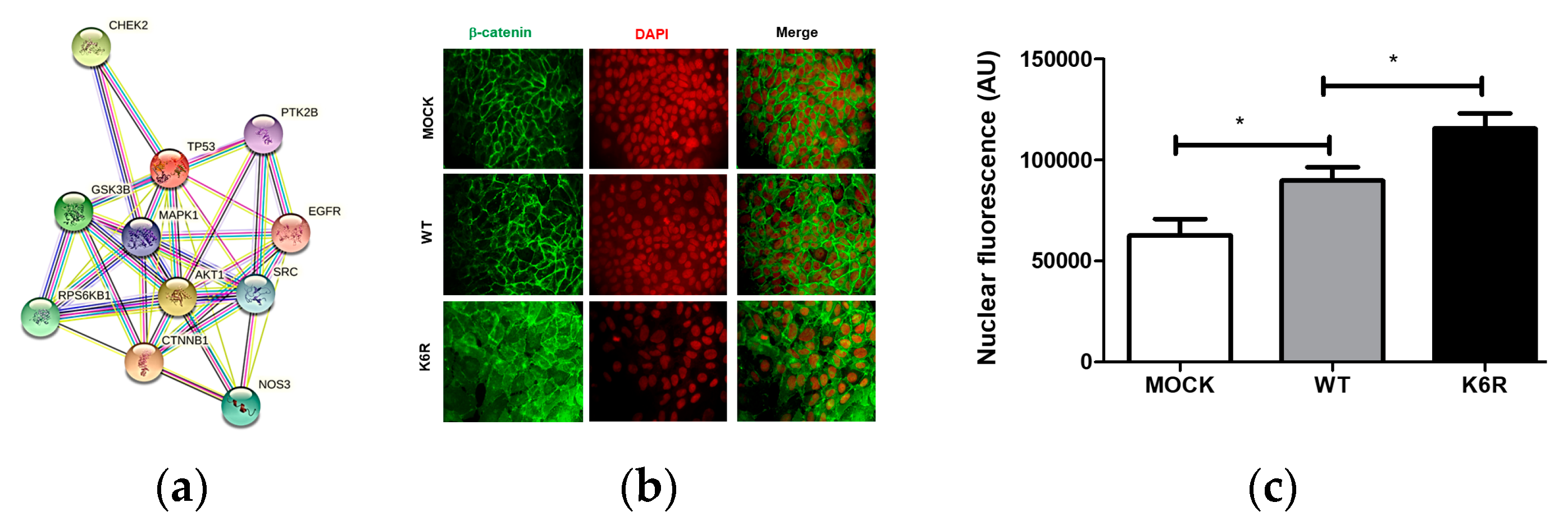 Kinasesphosphatases 02 00001 g003