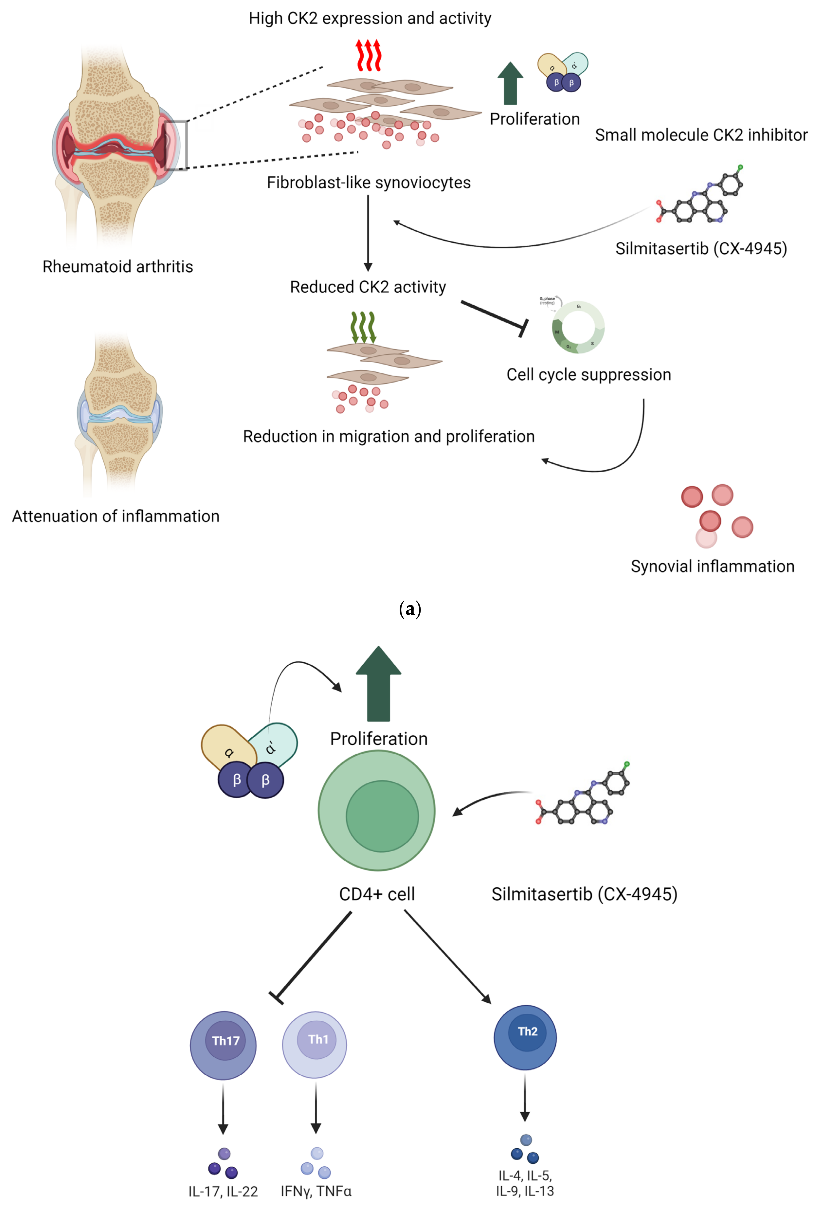 Kinasesphosphatases 02 00004 g002a