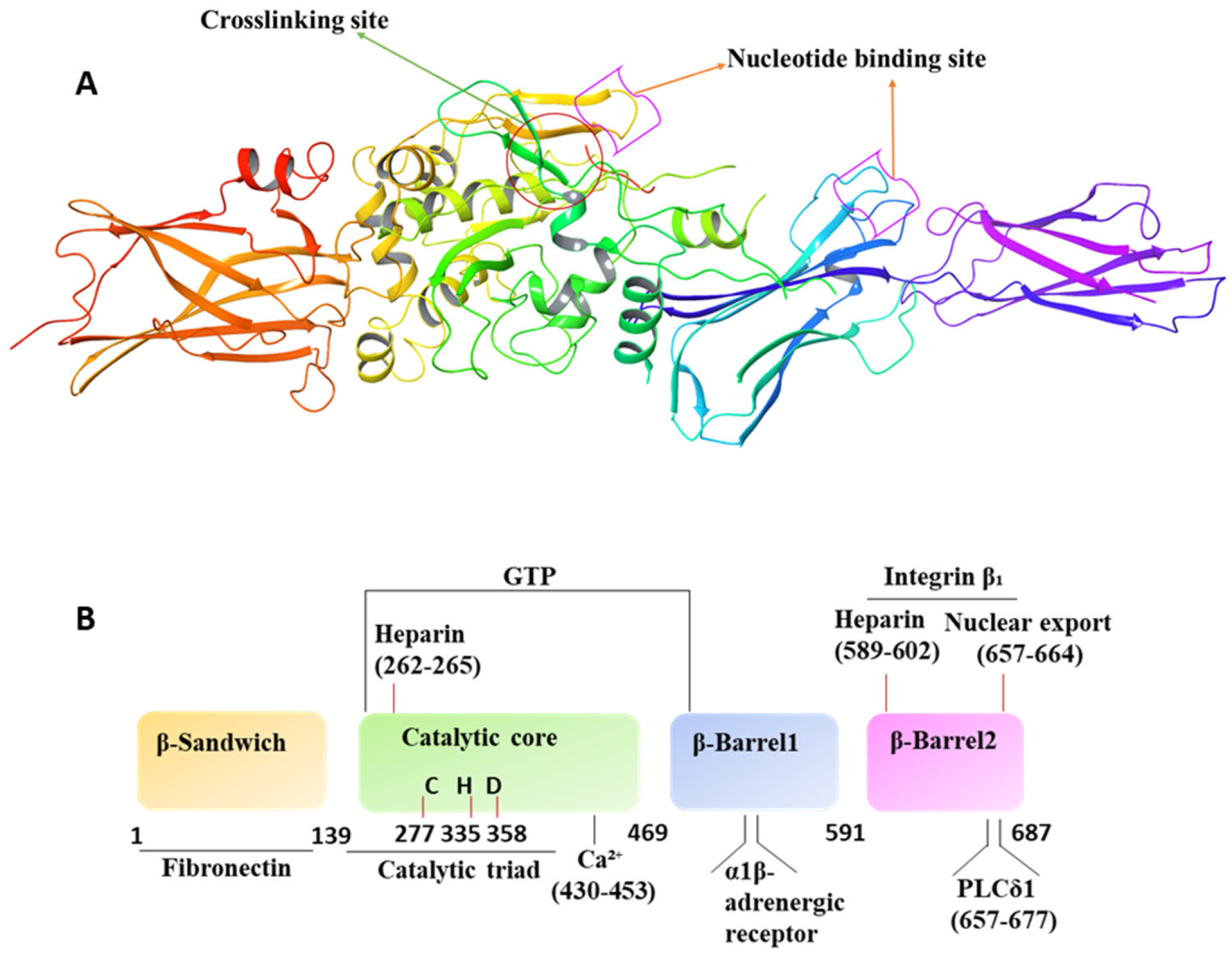 Kinasesphosphatases 02 00005 g001 Kinasesphosphatases 02 00005 g001