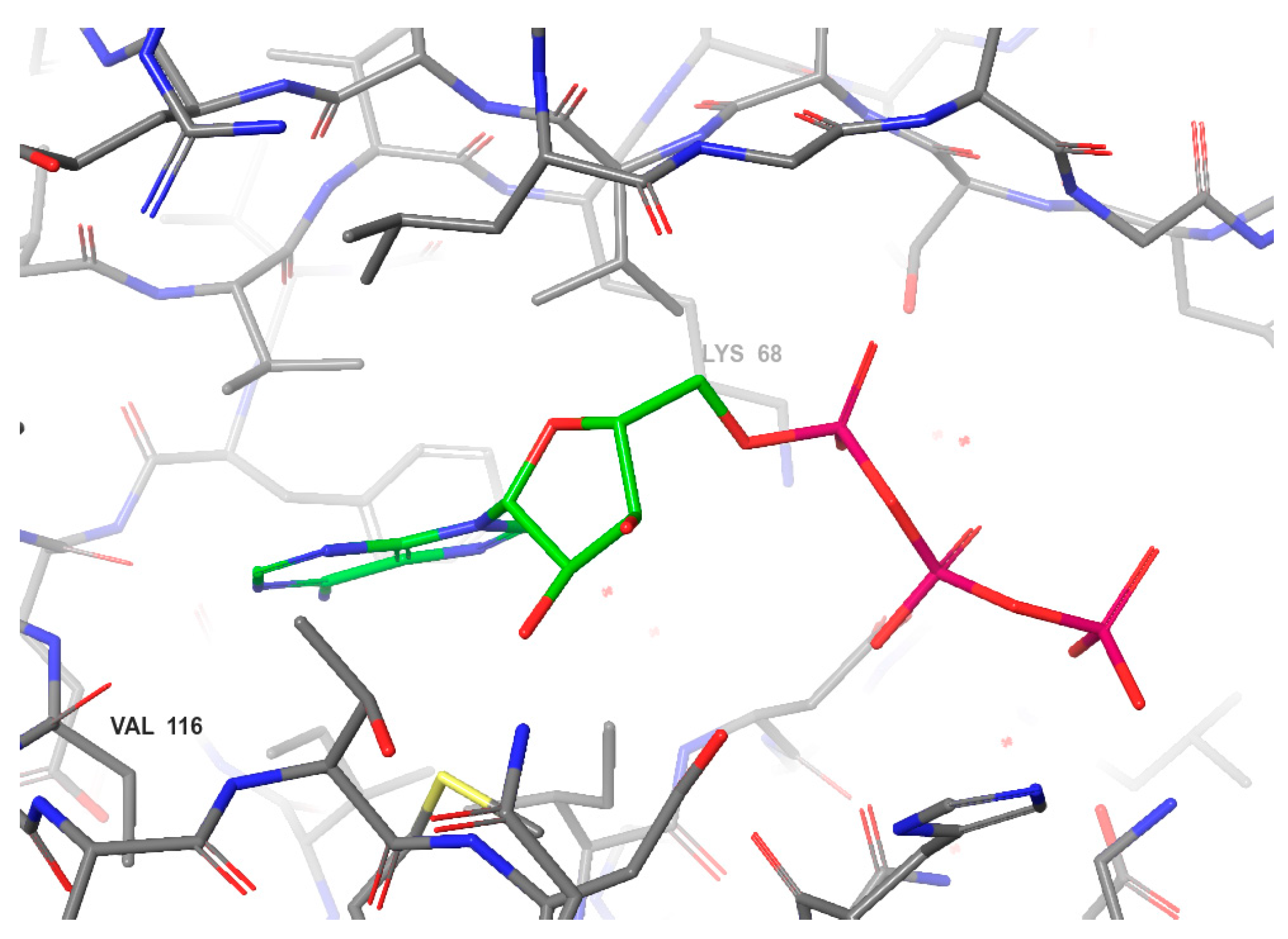 Kinasesphosphatases 02 00007 g003