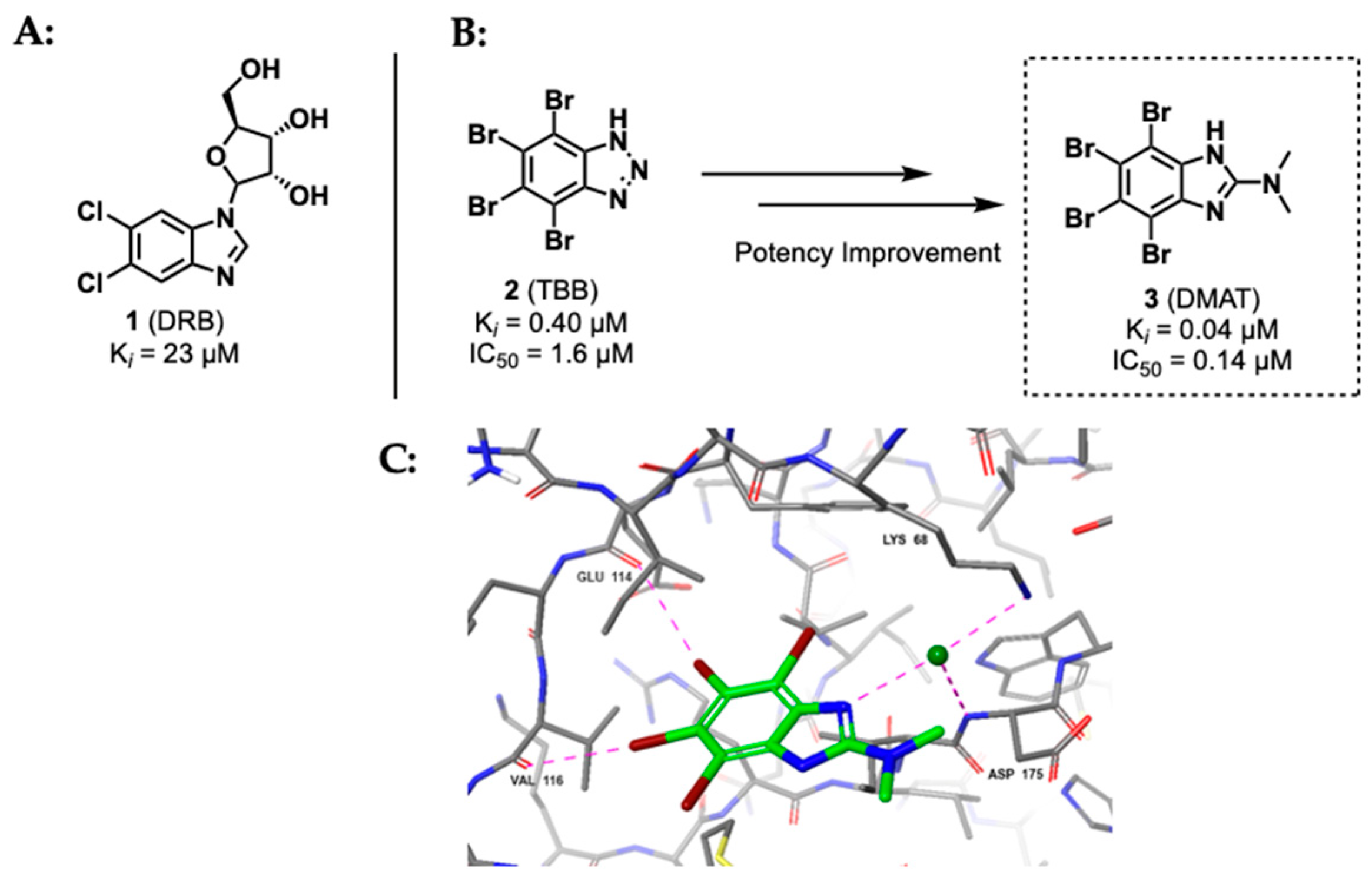 Kinasesphosphatases 02 00007 g005