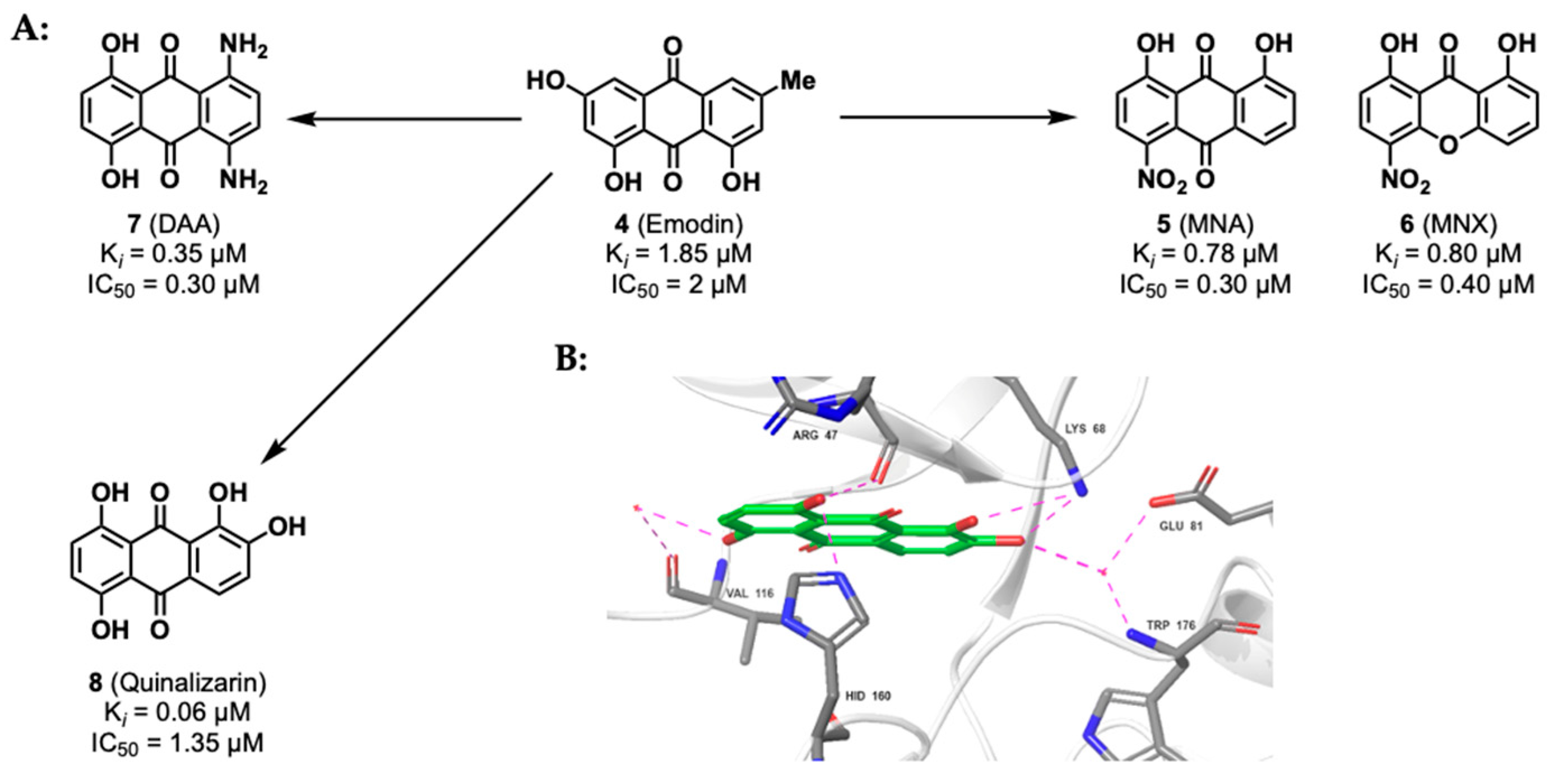 Kinasesphosphatases 02 00007 g006