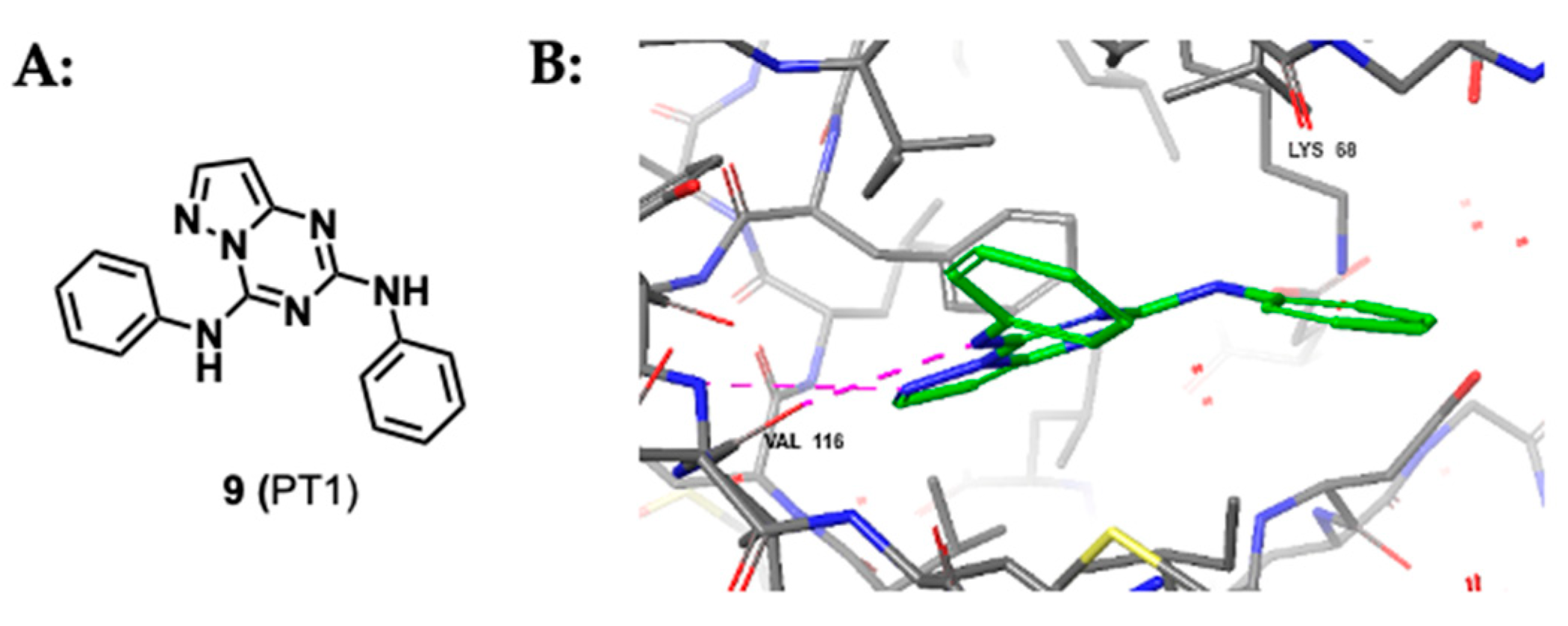 Kinasesphosphatases 02 00007 g007