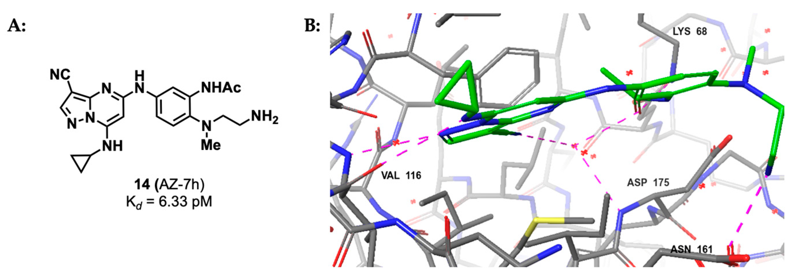 Kinasesphosphatases 02 00007 g009