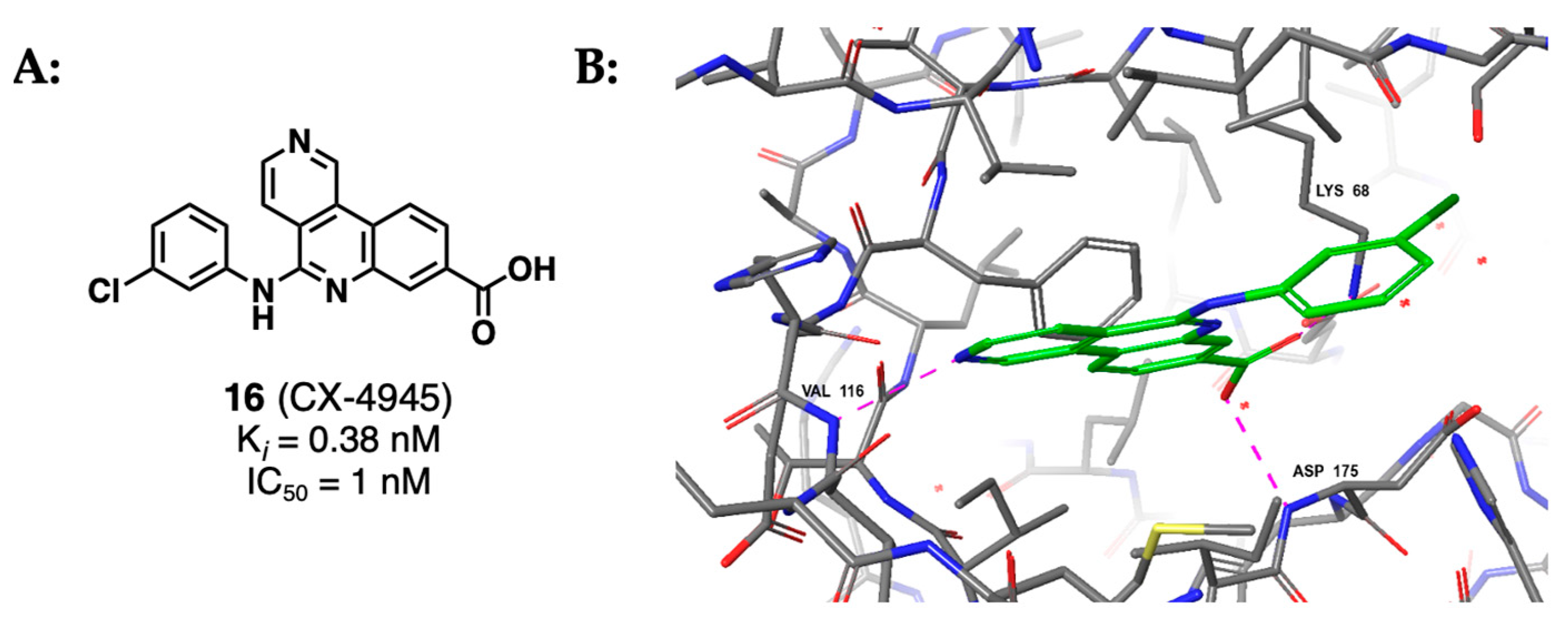 Kinasesphosphatases 02 00007 g011