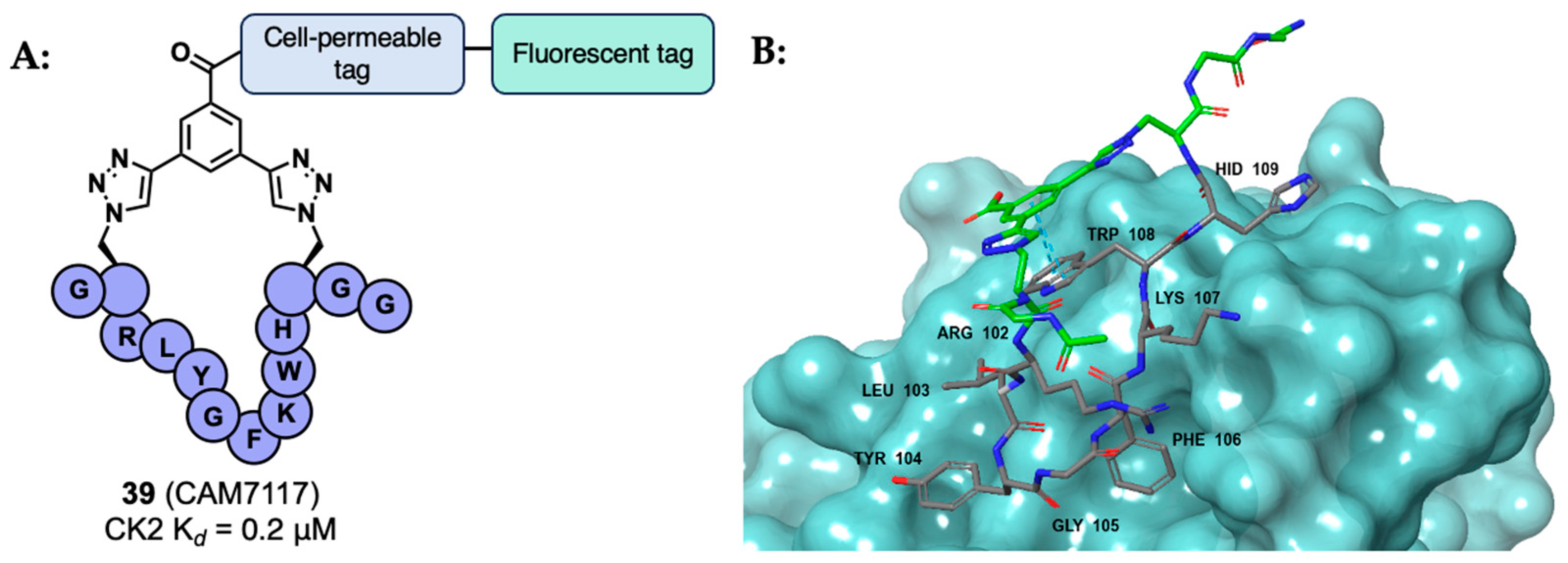 Kinasesphosphatases 02 00007 g024