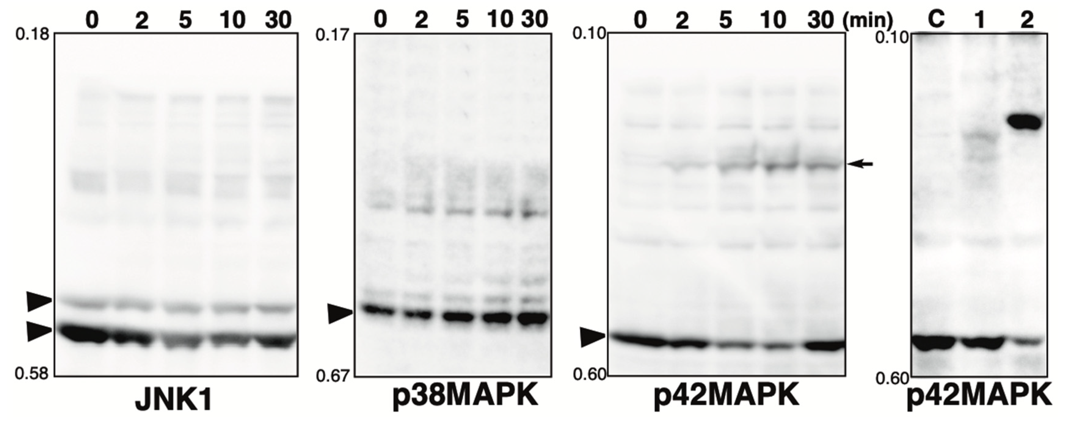 Kinasesphosphatases 02 00014 g002
