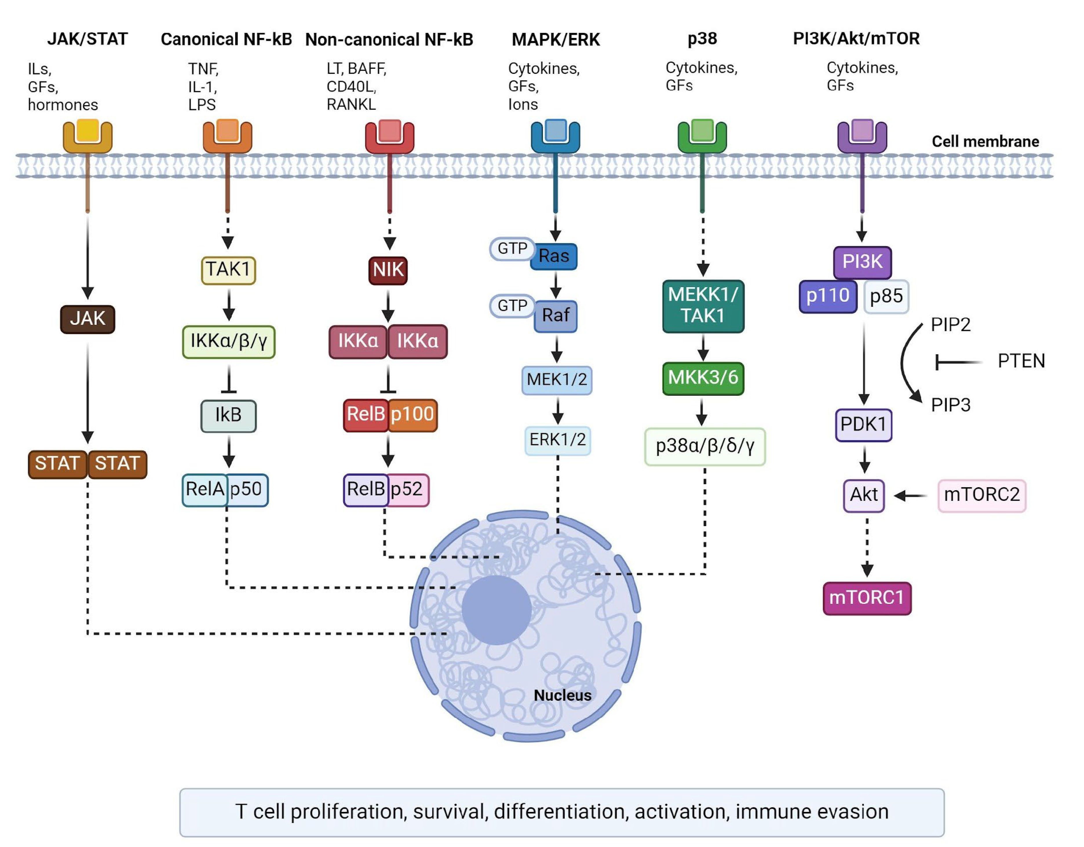 Kinasesphosphatases 02 00016 g001